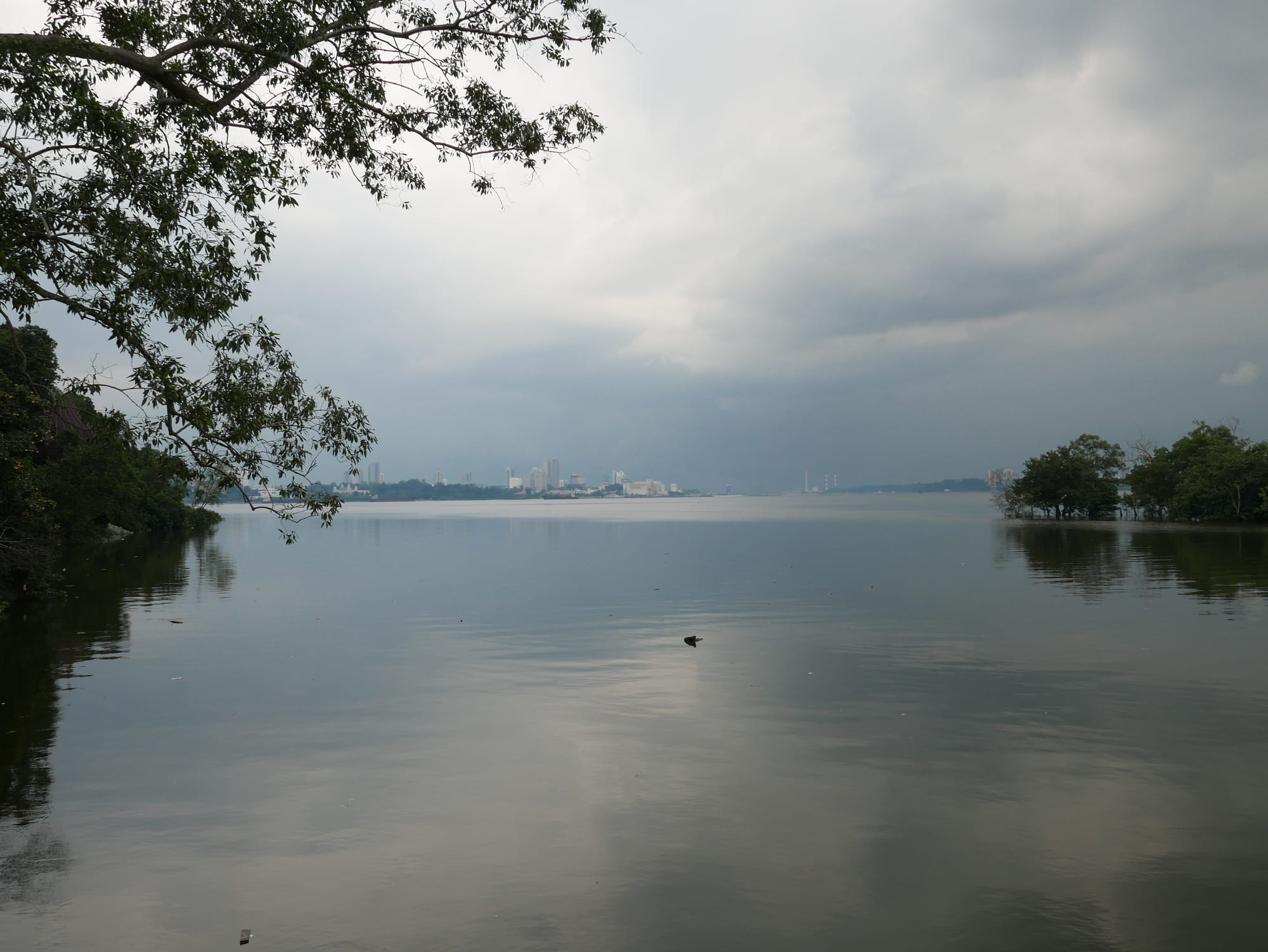 Photo by Author — looking towards Johor Bahru from Sungei Buloh Wetland Reserve, Singapore