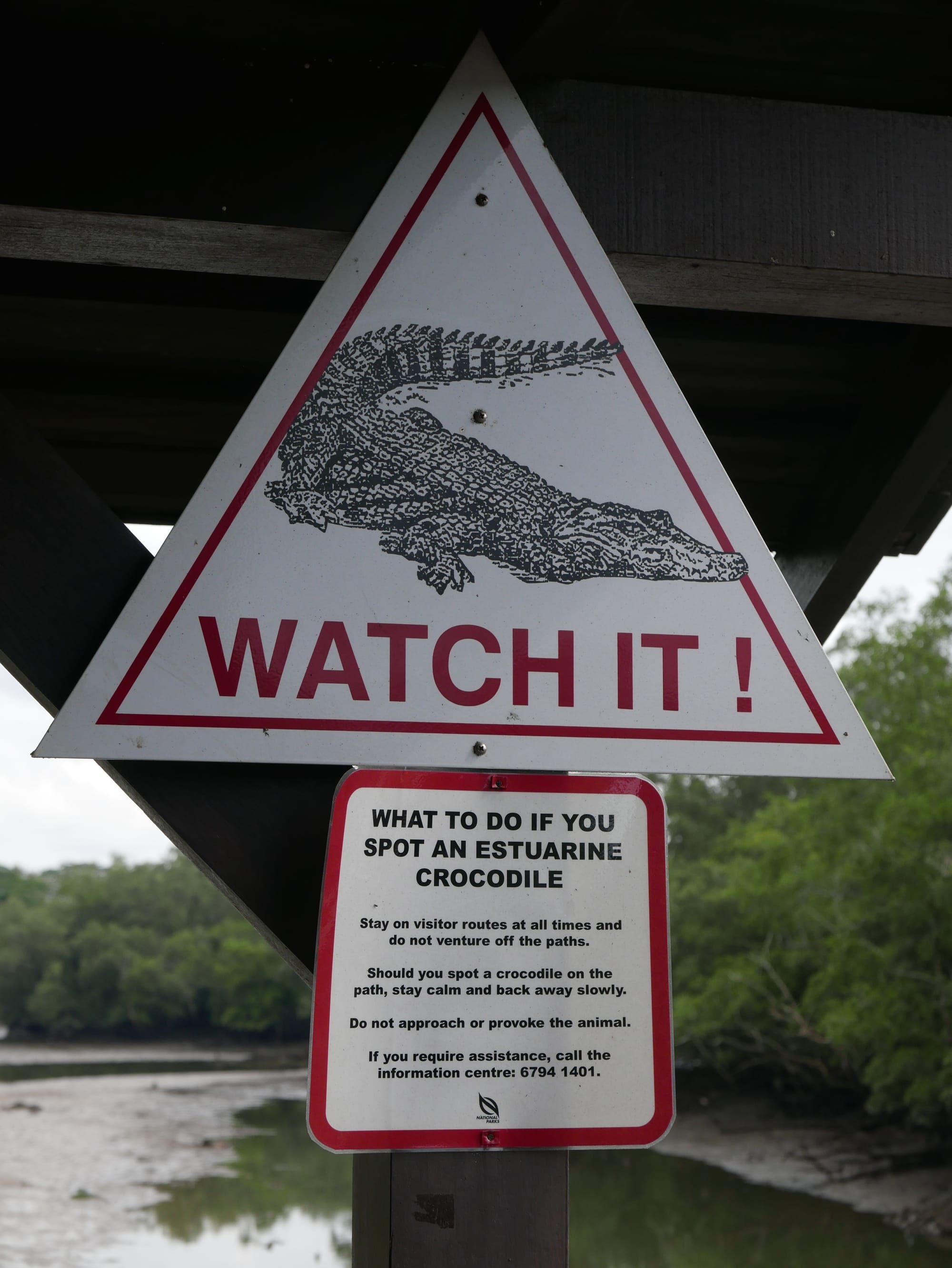 Photo by Author — you have got to be kidding — Sungei Buloh Wetland Reserve, Singapore