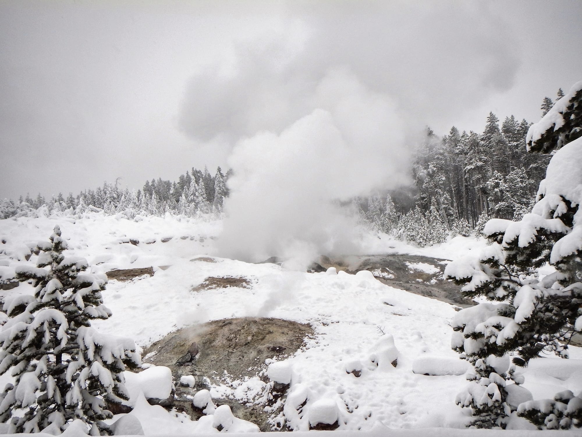 Photo by Author — a mud volcano, Norris Geyser Basin