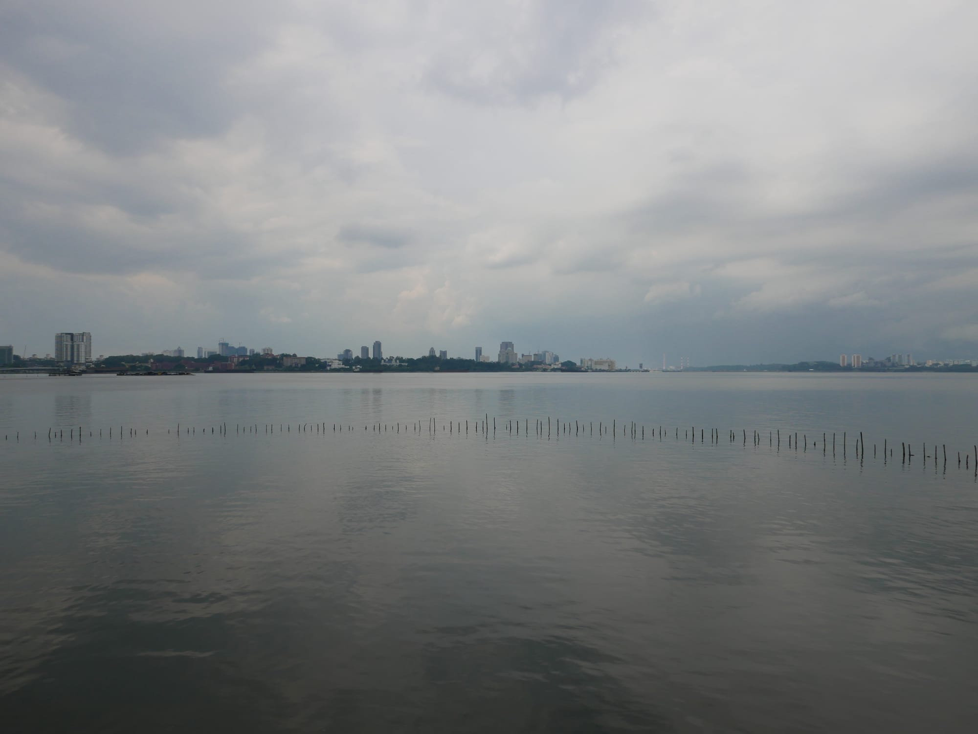 Photo by Author — looking towards Johor Bahru from Sungei Buloh Wetland Reserve, Singapore