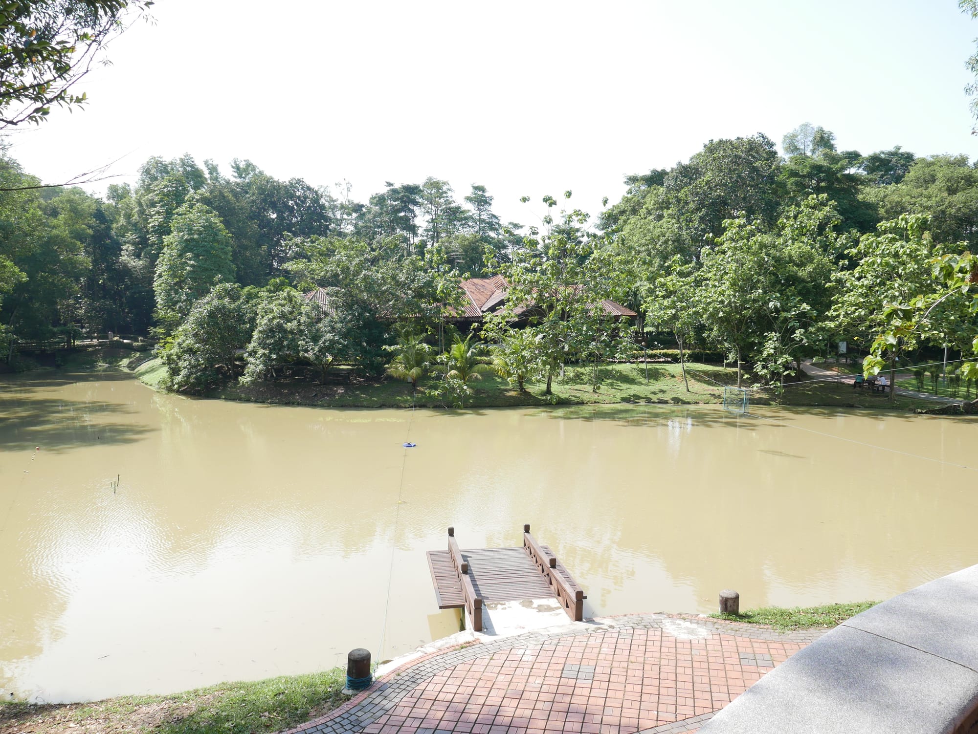 Photo by Author — the lake — Hutan Bandar, Johor Bahru, Johor, Malaysia