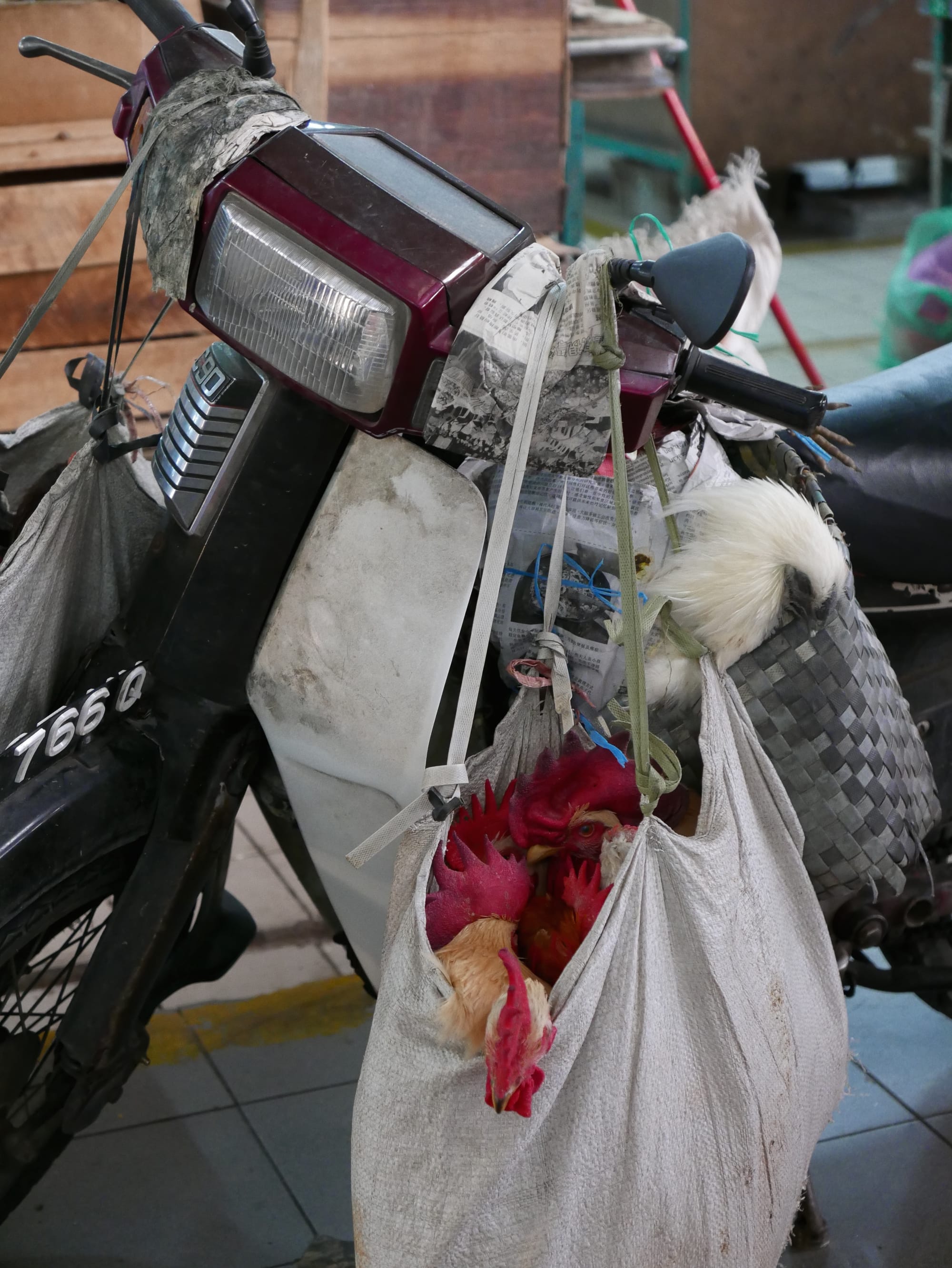 Photo by Author — one for the pot? Live chickens on a motorbike