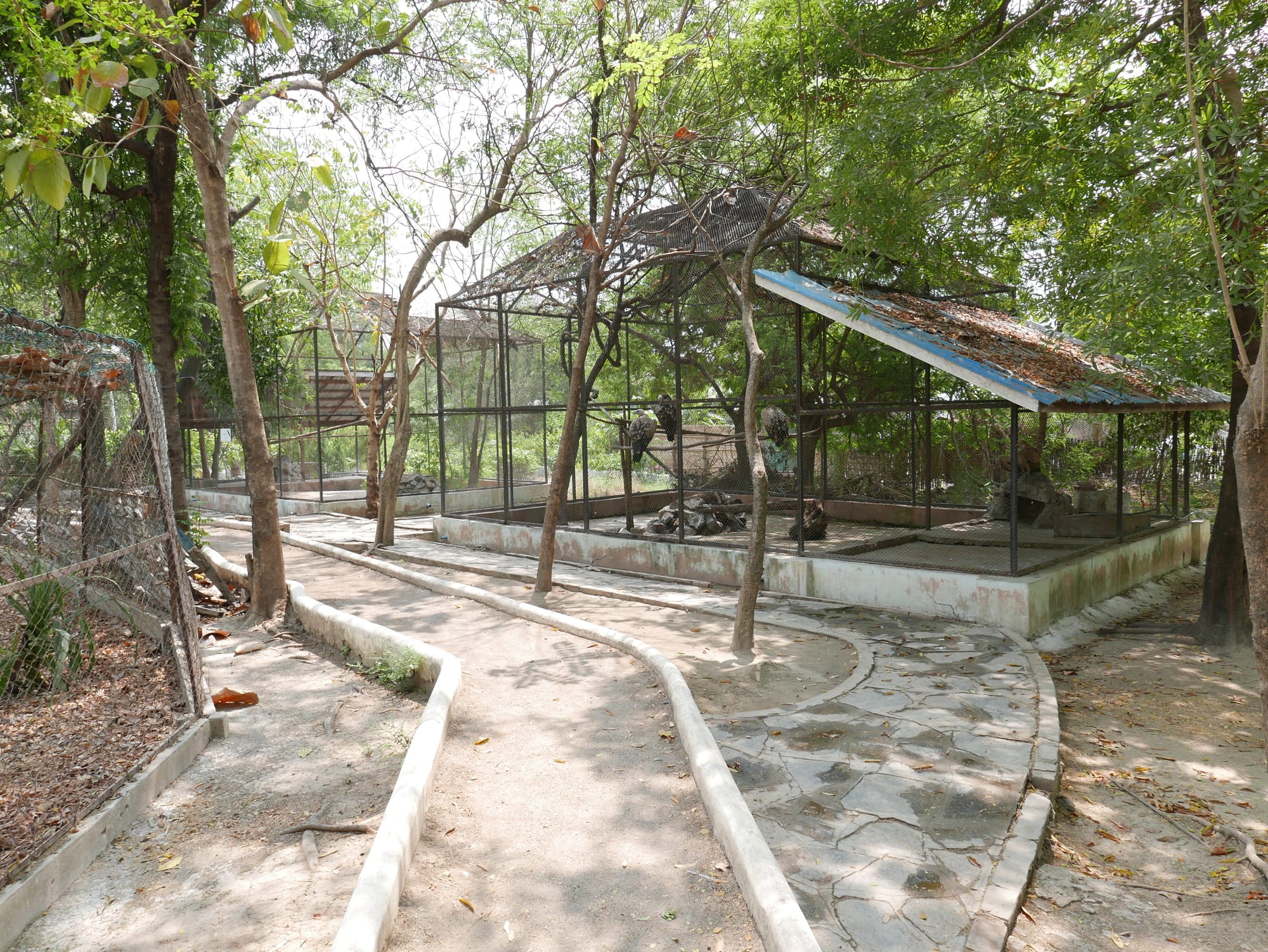 Photo by Author — the bird section — Yadanabon Zoo, Mandalay, Myanmar