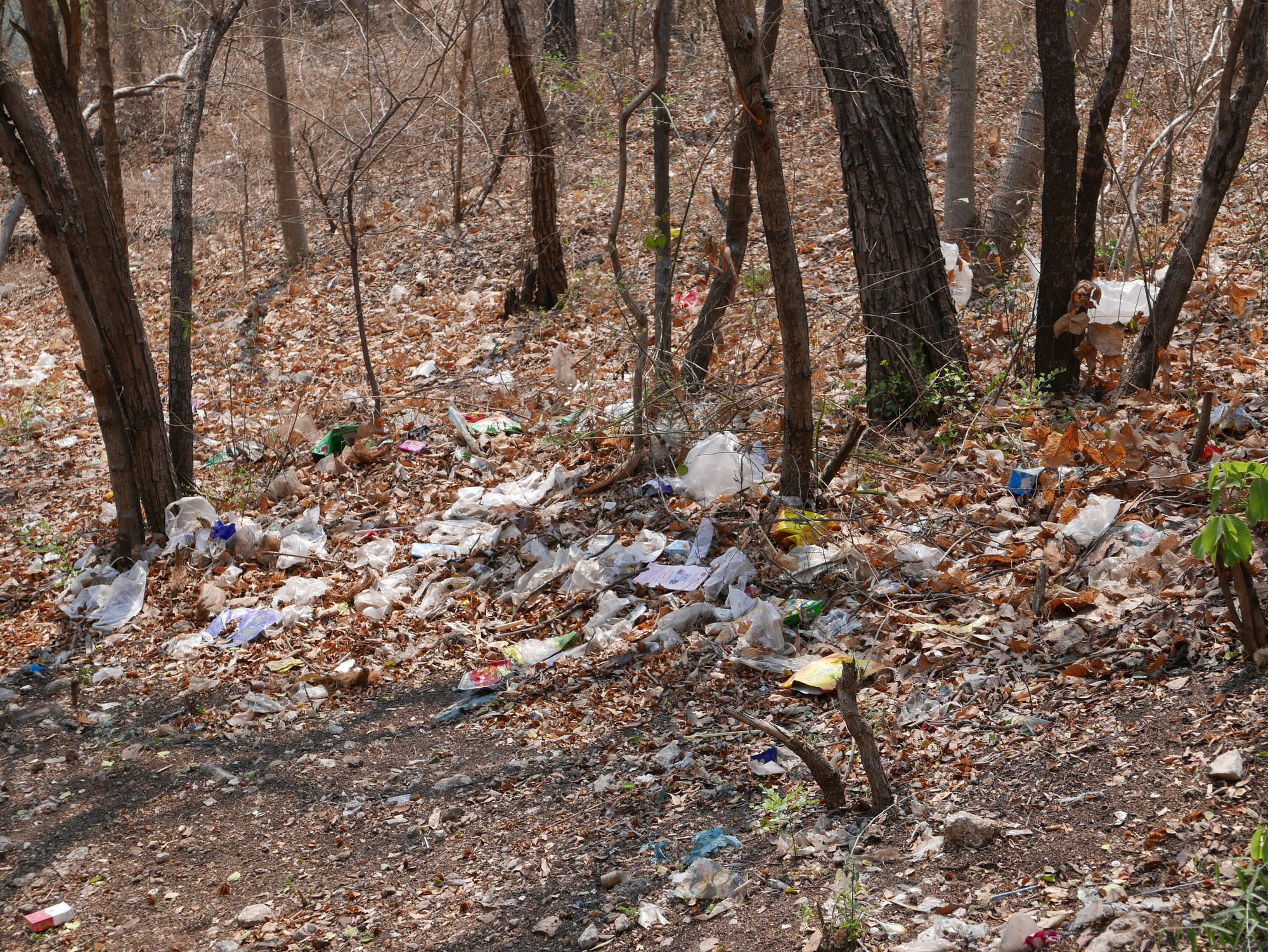 Photo by Author — rubbish dumped by the path on Mandalay Hill