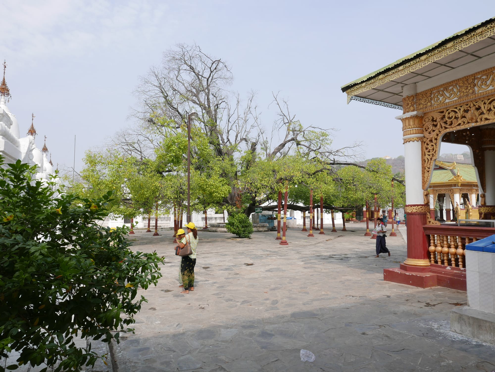 Photo by Author — trees at the Maha Lawkamarazein or Kuthodaw Inscription Shrines, Mandalay, Myanmar (Burma)