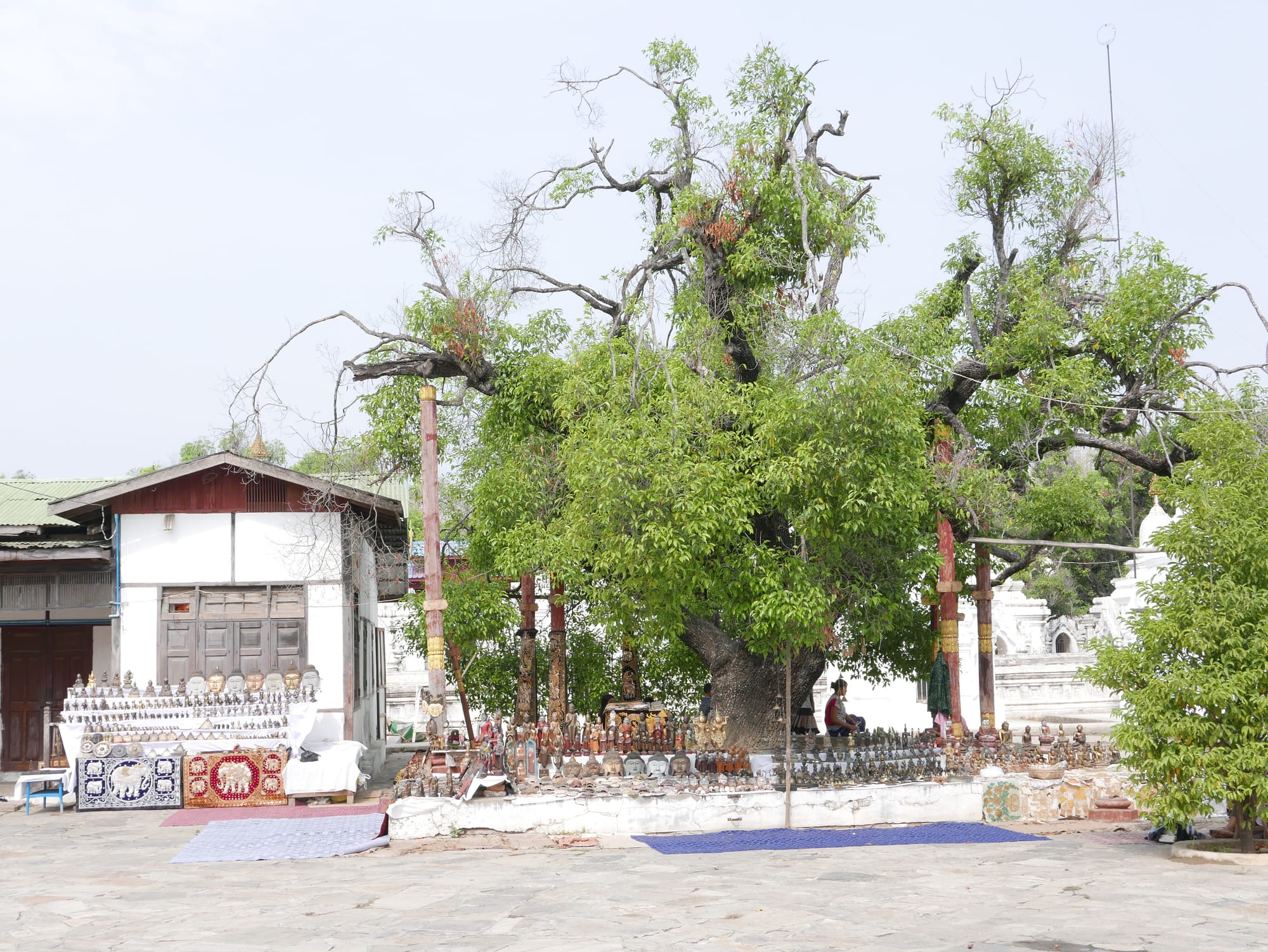 Photo by Author — the shop near the tree — Maha Lawkamarazein or Kuthodaw Inscription Shrines, Mandalay, Myanmar (Burma)