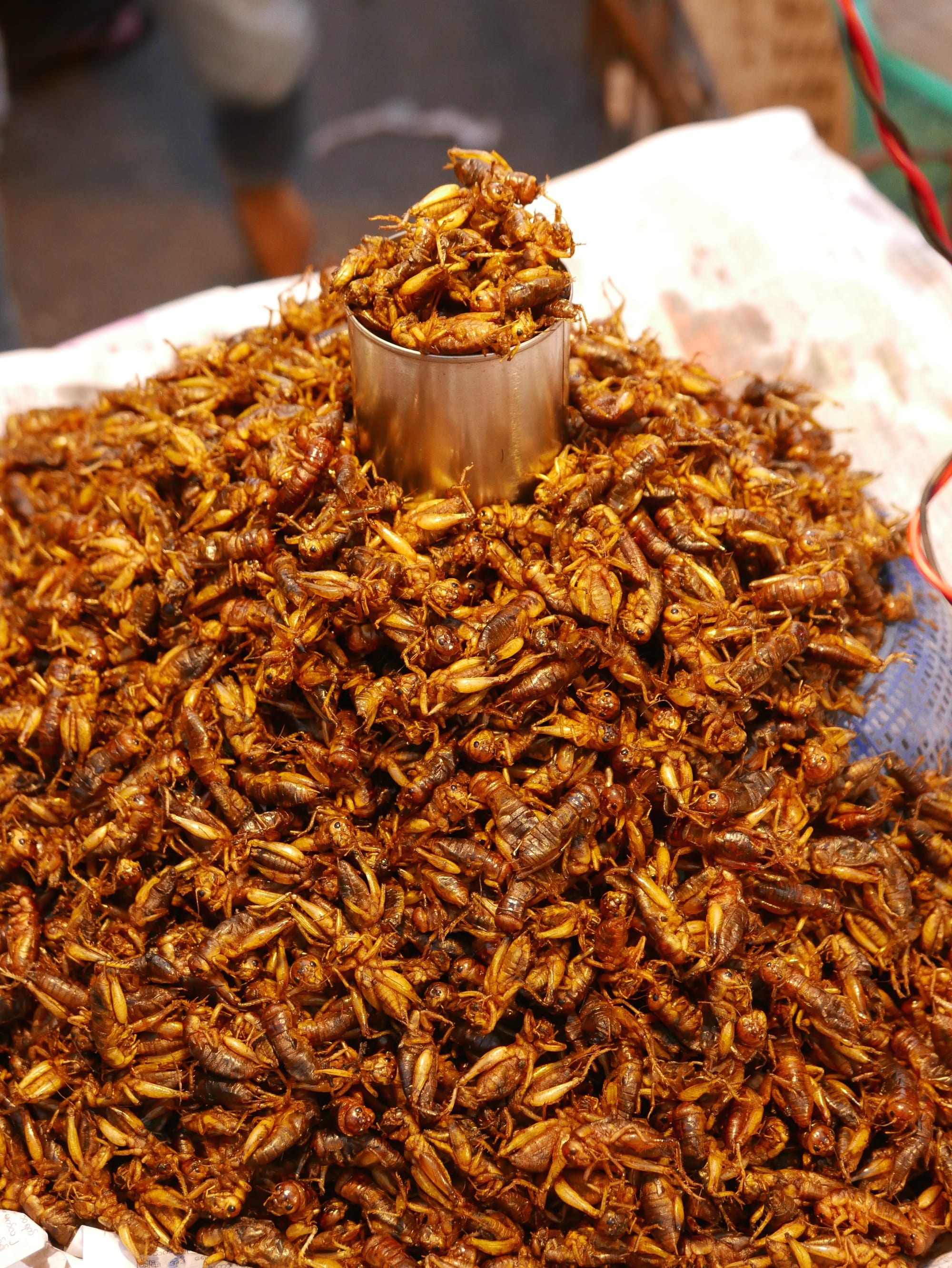 Photo by Author — cooked insects for sale — Chinatown, Yangon (Rangoon), Myanmar (Burma)