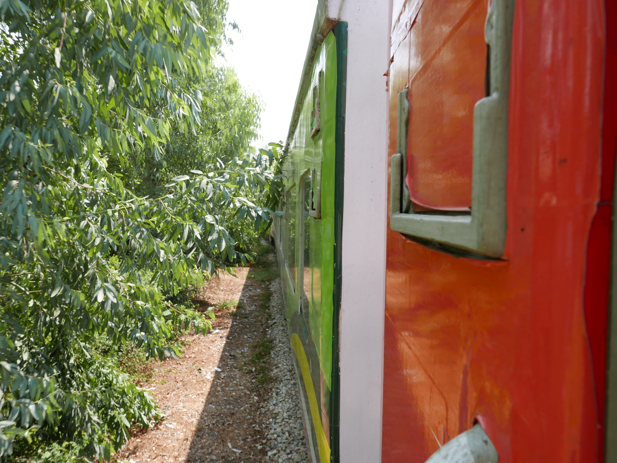 Photo by Author — tree! — why you shouldn’t hand out of train doorways taking photos