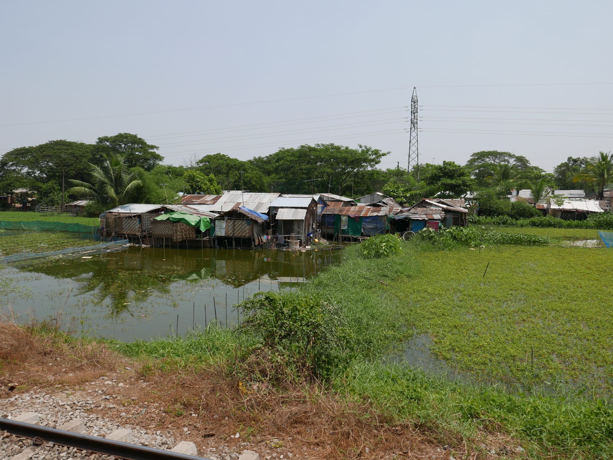 Photo by Author — more farms by the tracks — Yangon Railway