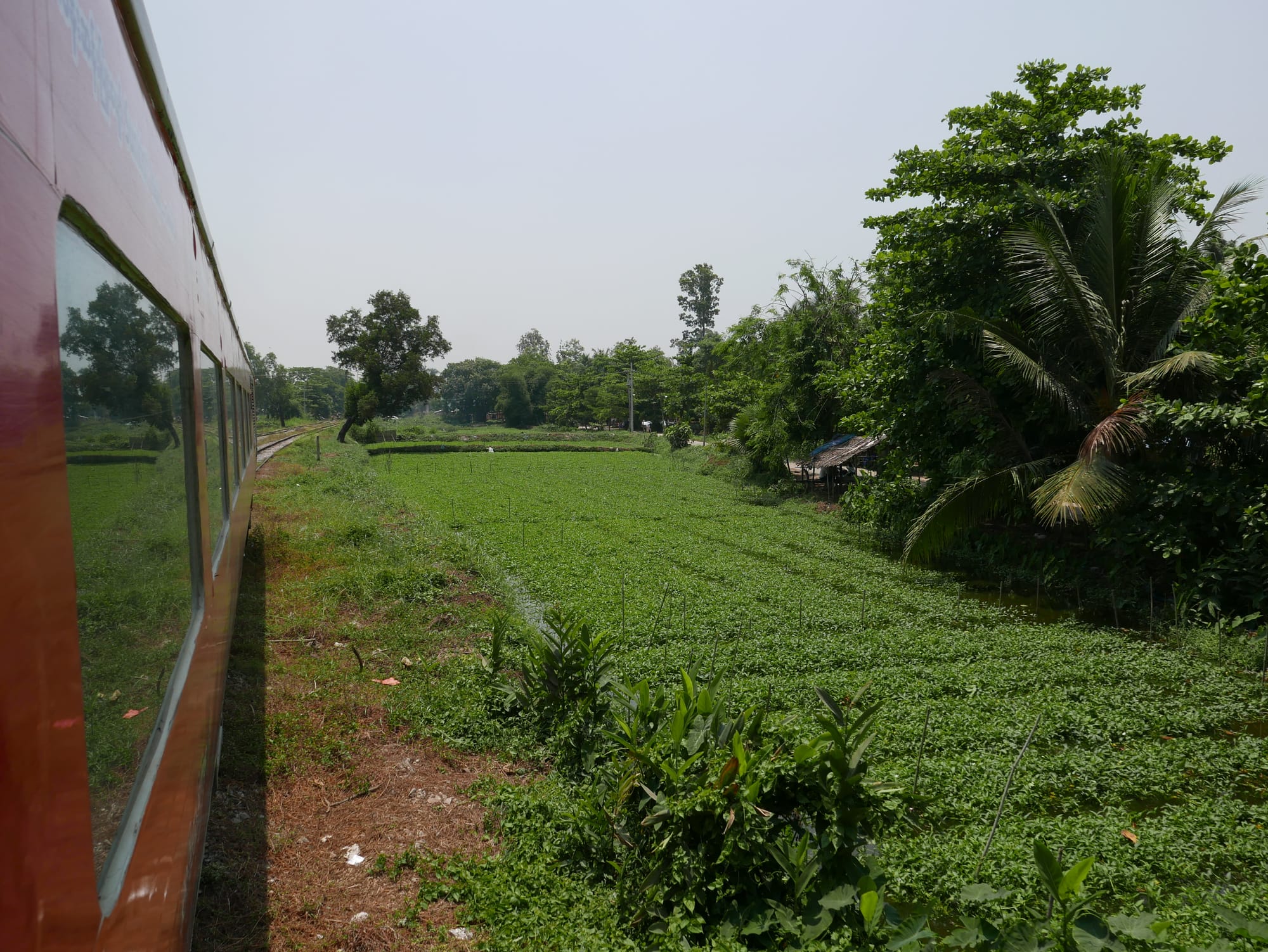 Photo by Author — farming in Myanmar — Yangon Railway