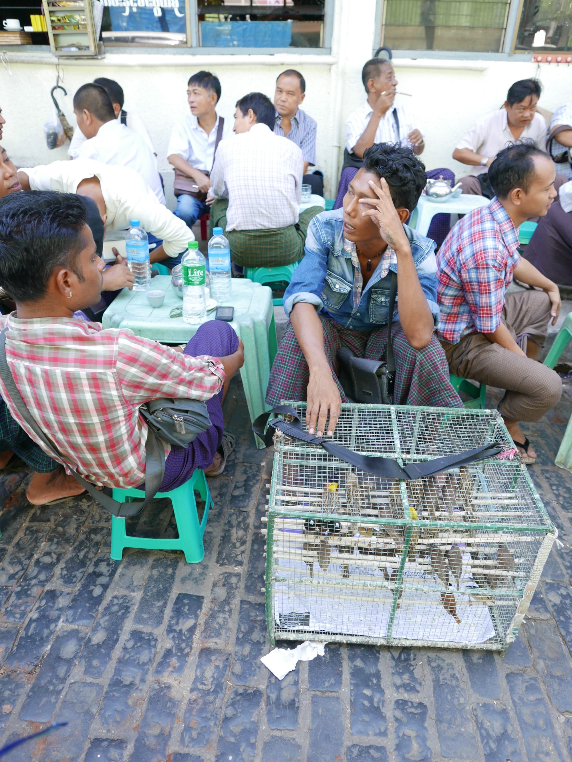 Photo by Author — a bird seller at Bogyoke Market (Scotts Market), Yangon (Rangoon), Myanmar (Burma)