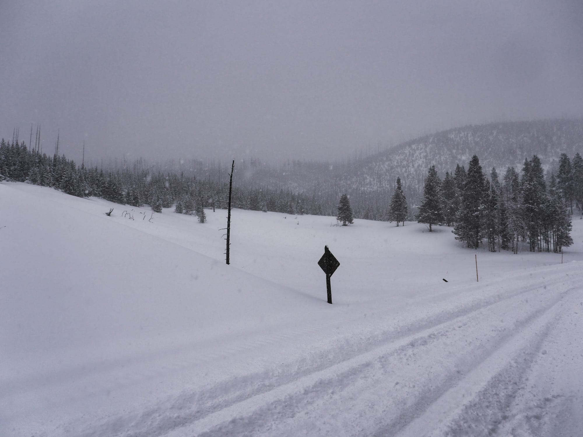 Photo by Author — deep snow across the road