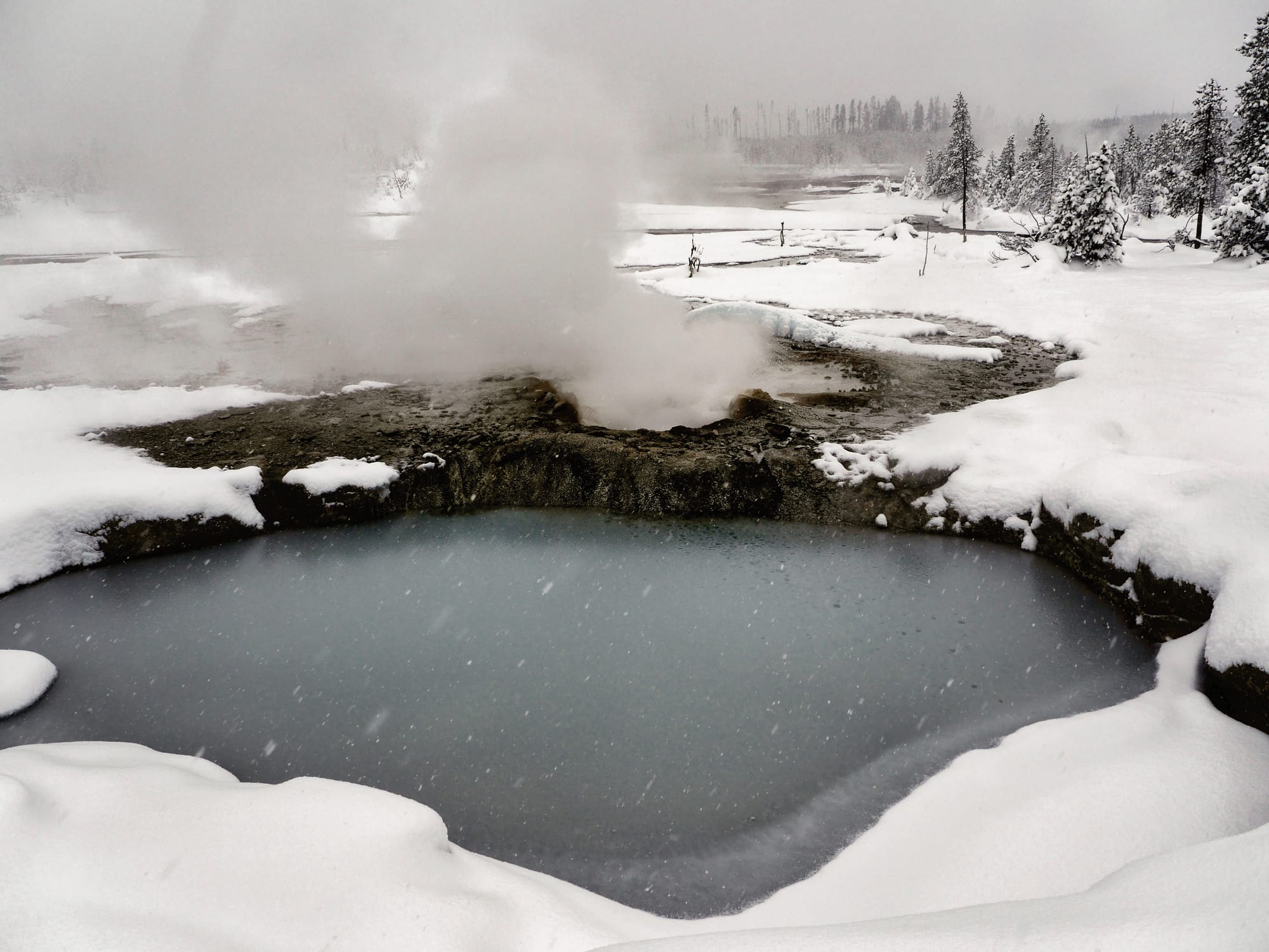 Photo by Author — thermal activity in Norris Geyser Basin