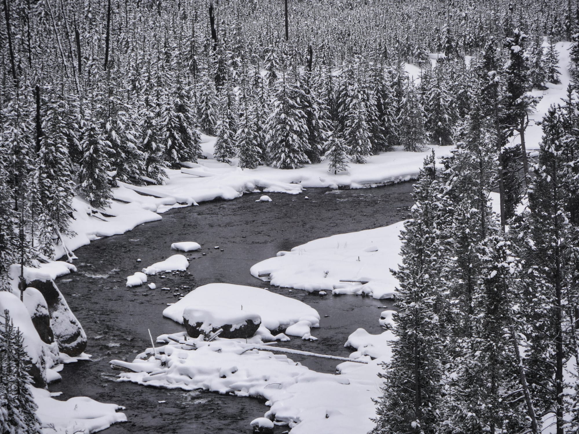 Photo by Author — Wild River, Yellowstone National Park