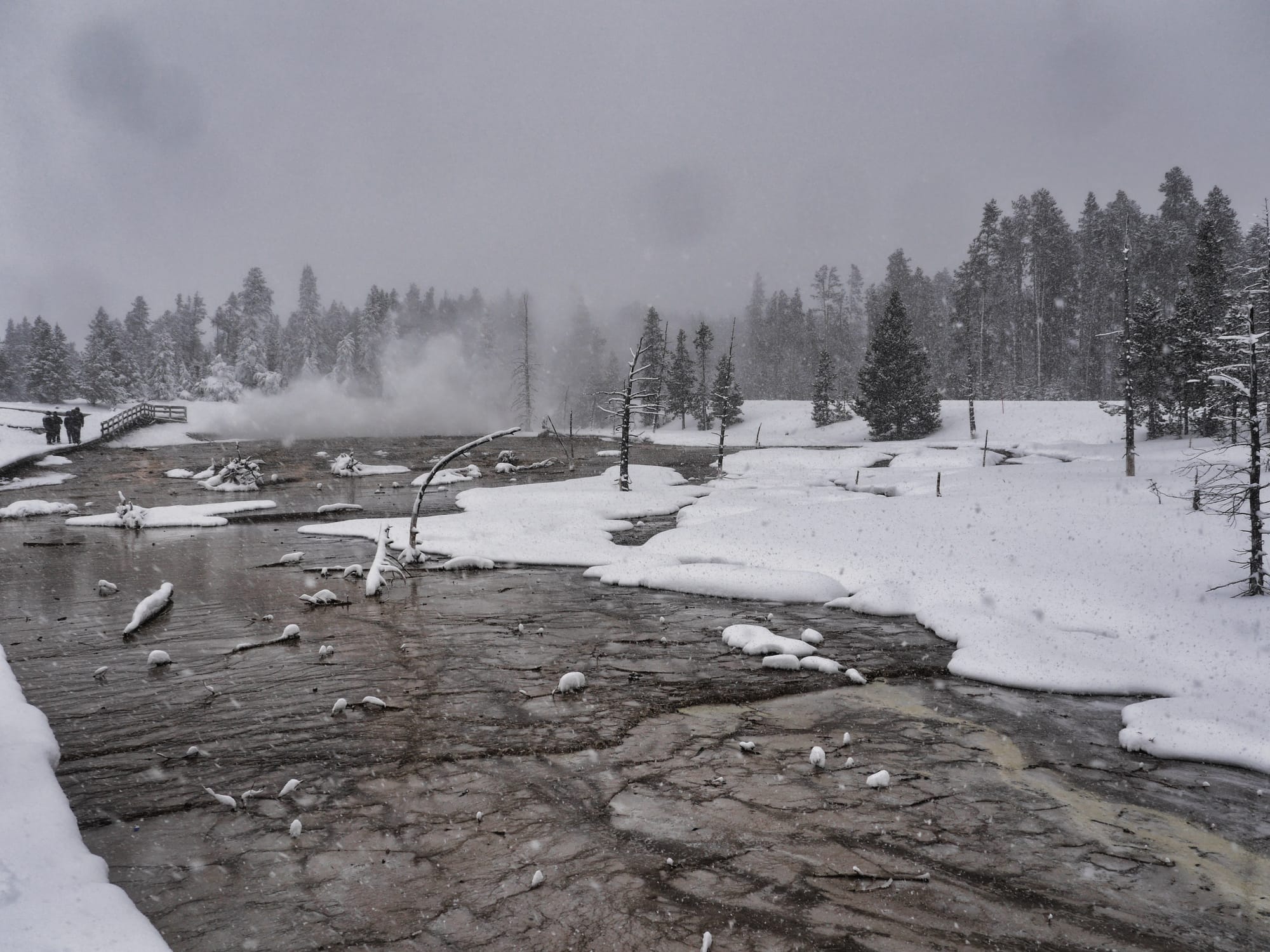 Photo by Author — Fountain Paint Pots, Yellowstone National Park