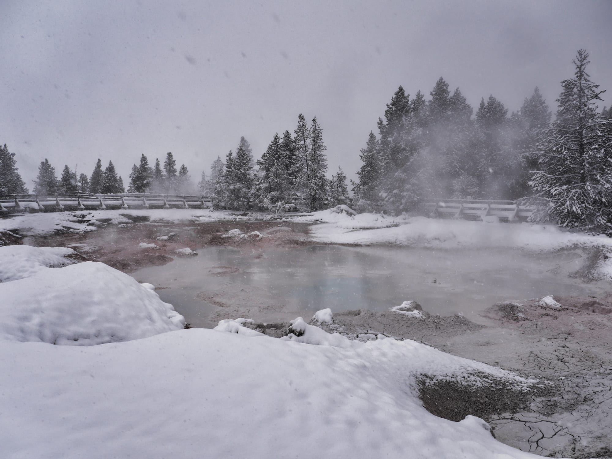 Photo by Author — Fountain Paint Pots, Yellowstone National Park