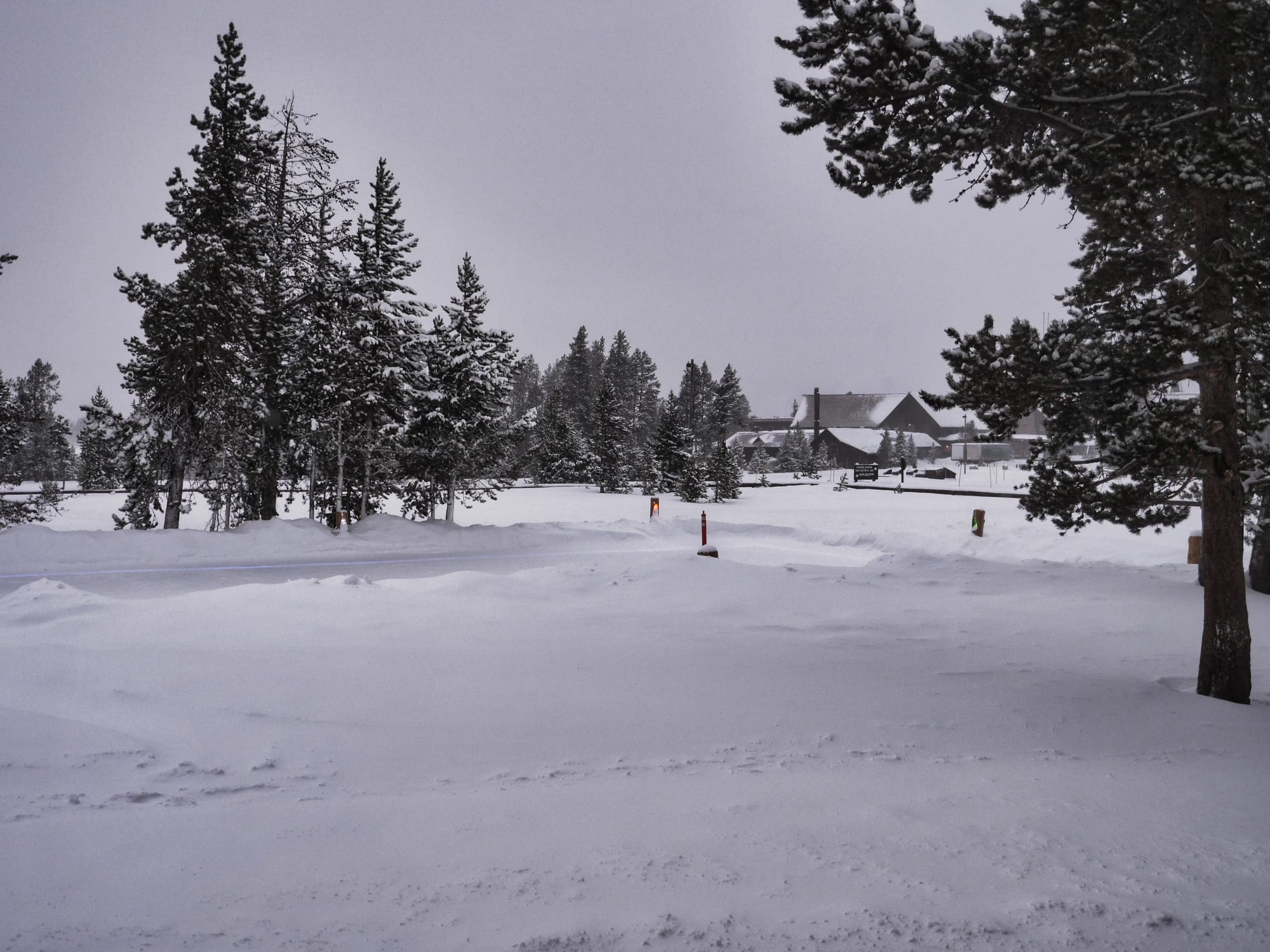 Photo by Author — early morning view from the room at the Old Faithful Snow Lodge — not a tourist in sight