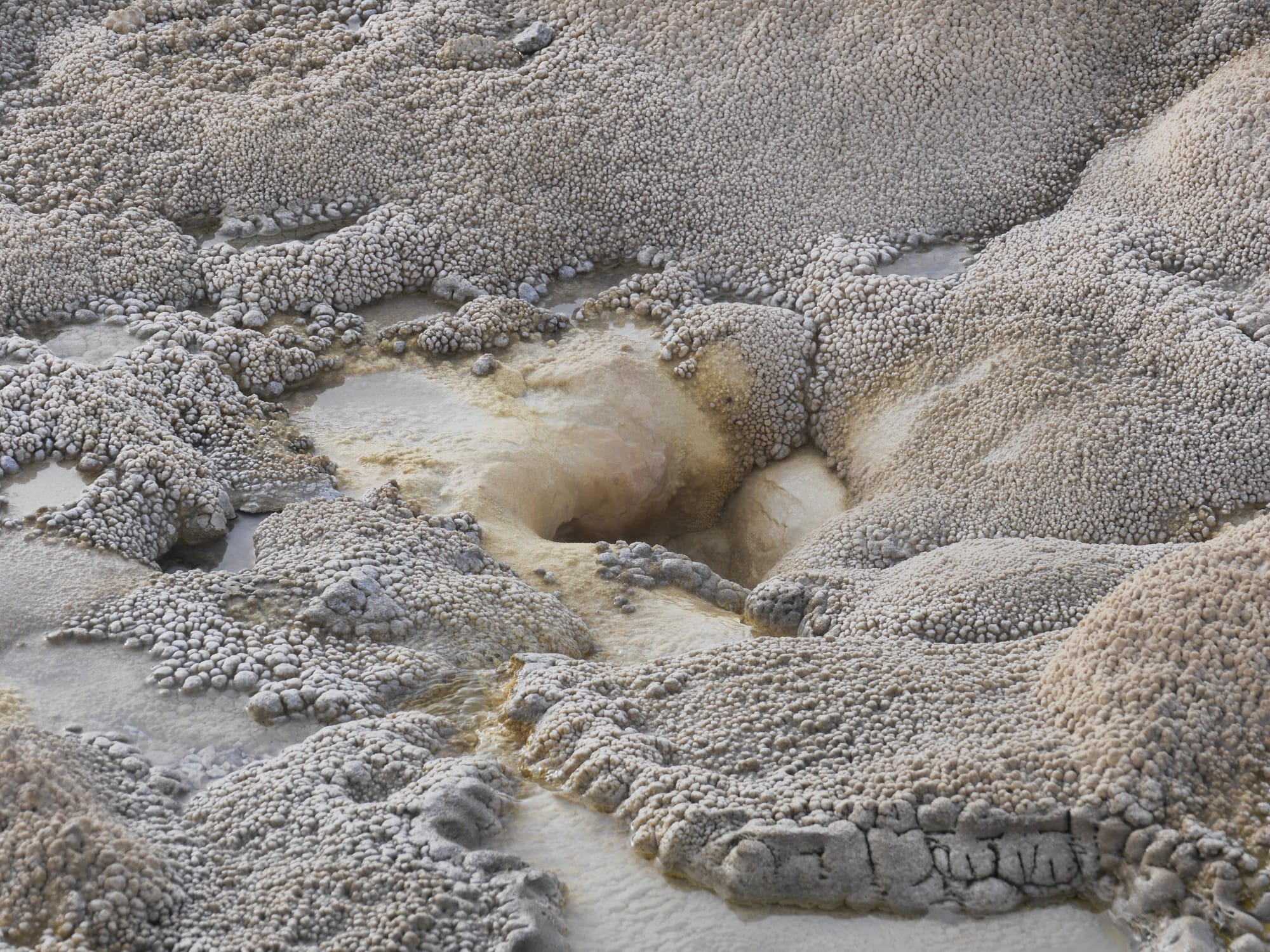 Photo by Author — snowshoe tour of the Upper Geyser Basin — precipitated rock formations