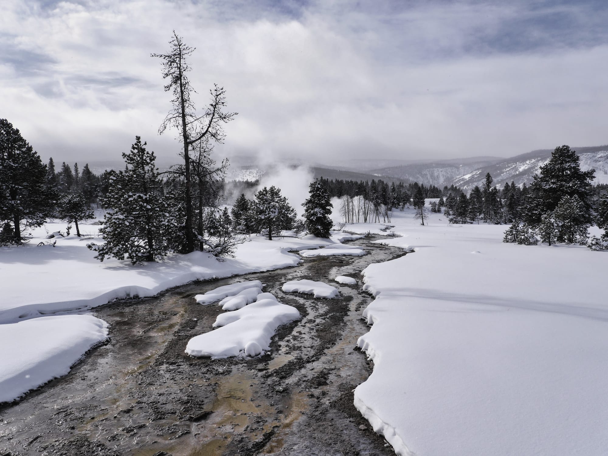Photo by Author — snowshoe tour of the Upper Geyser Basin