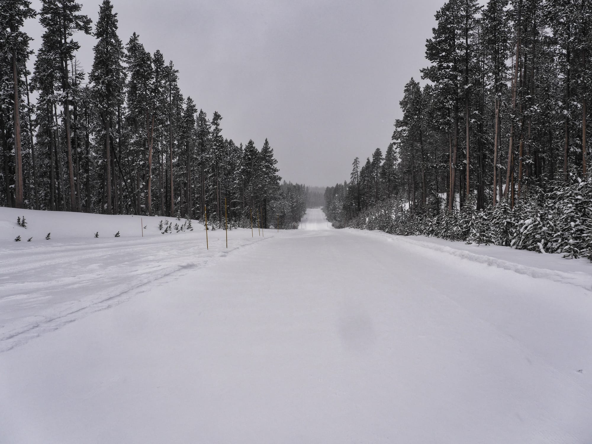 Photo by Author — looking down the road from the Continental Divide