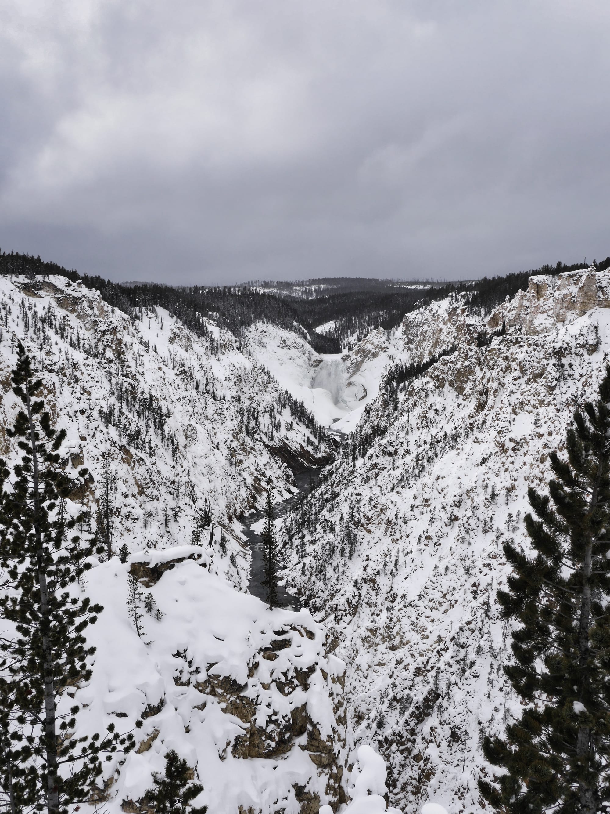 Photo by Author — Yellowstone Grand Canyon