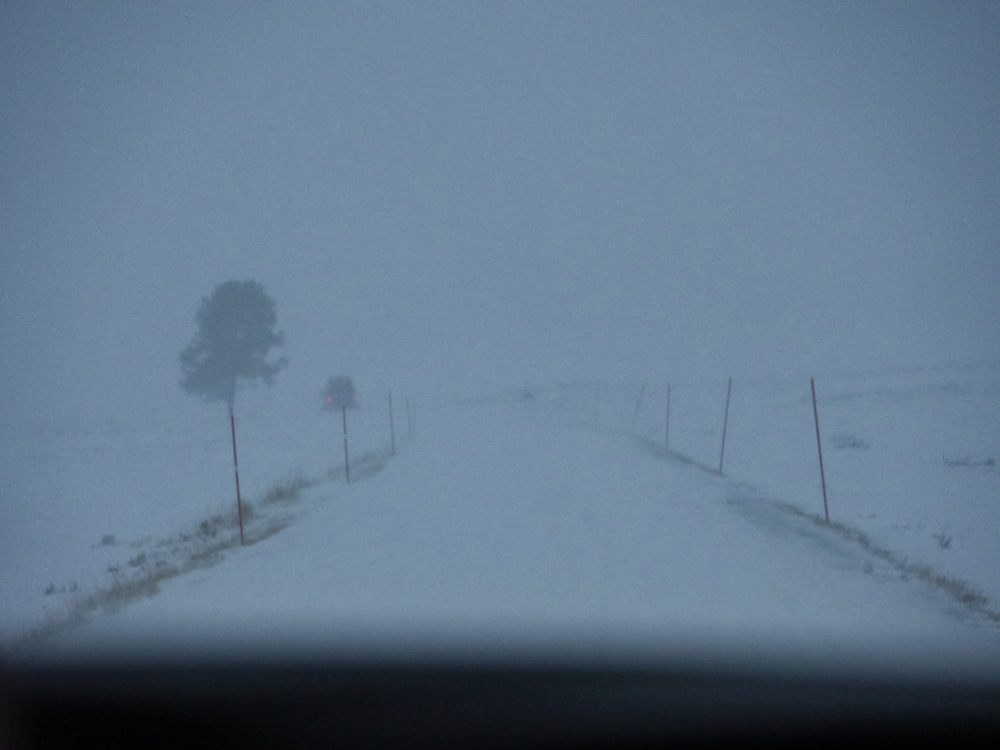 Photo by Author — the drive back to Mammoth Hot Springs Hotel