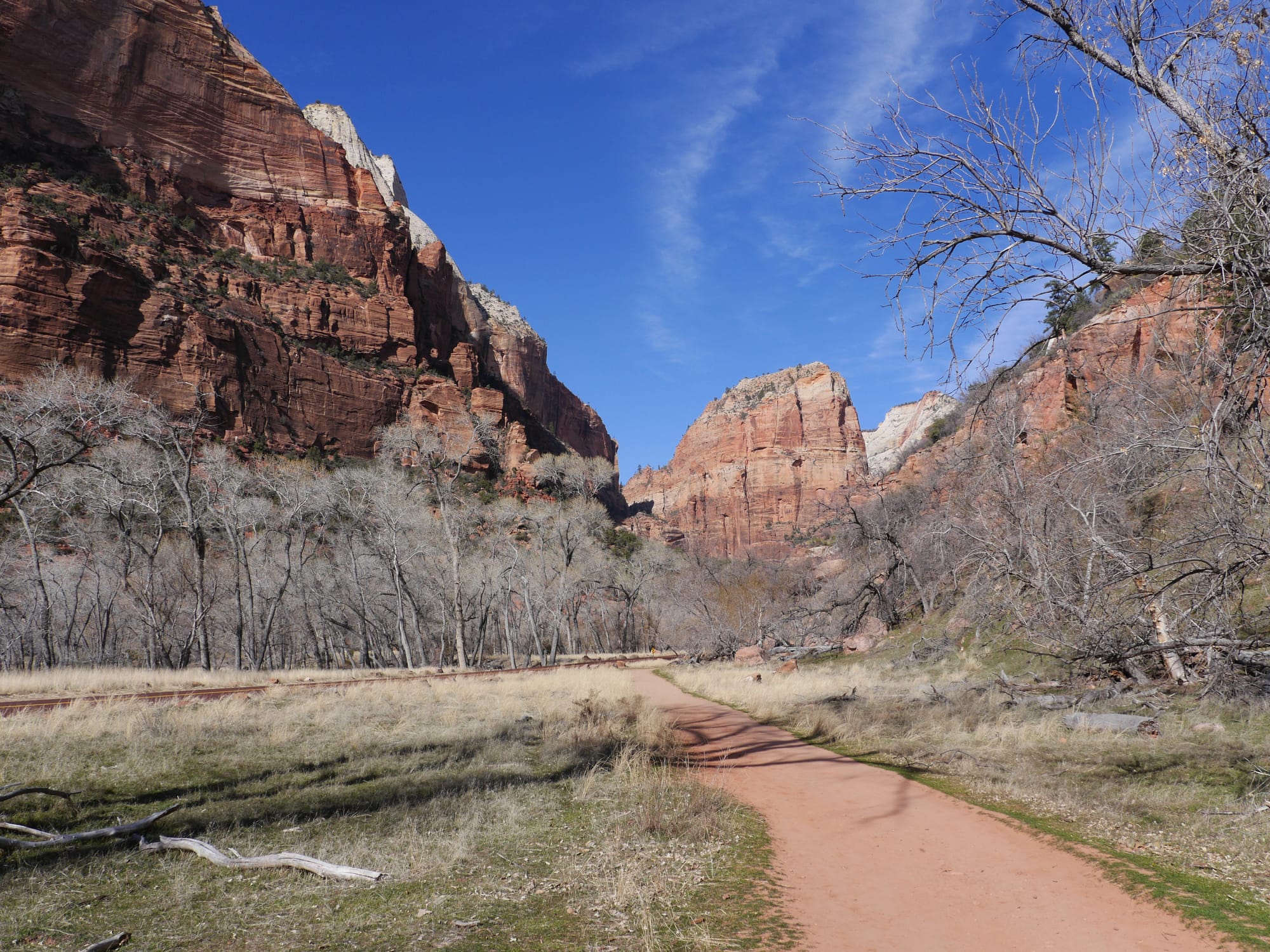 Photo by Author — The Grotto and Emerald Pools Trail, Zion National Park, Utah