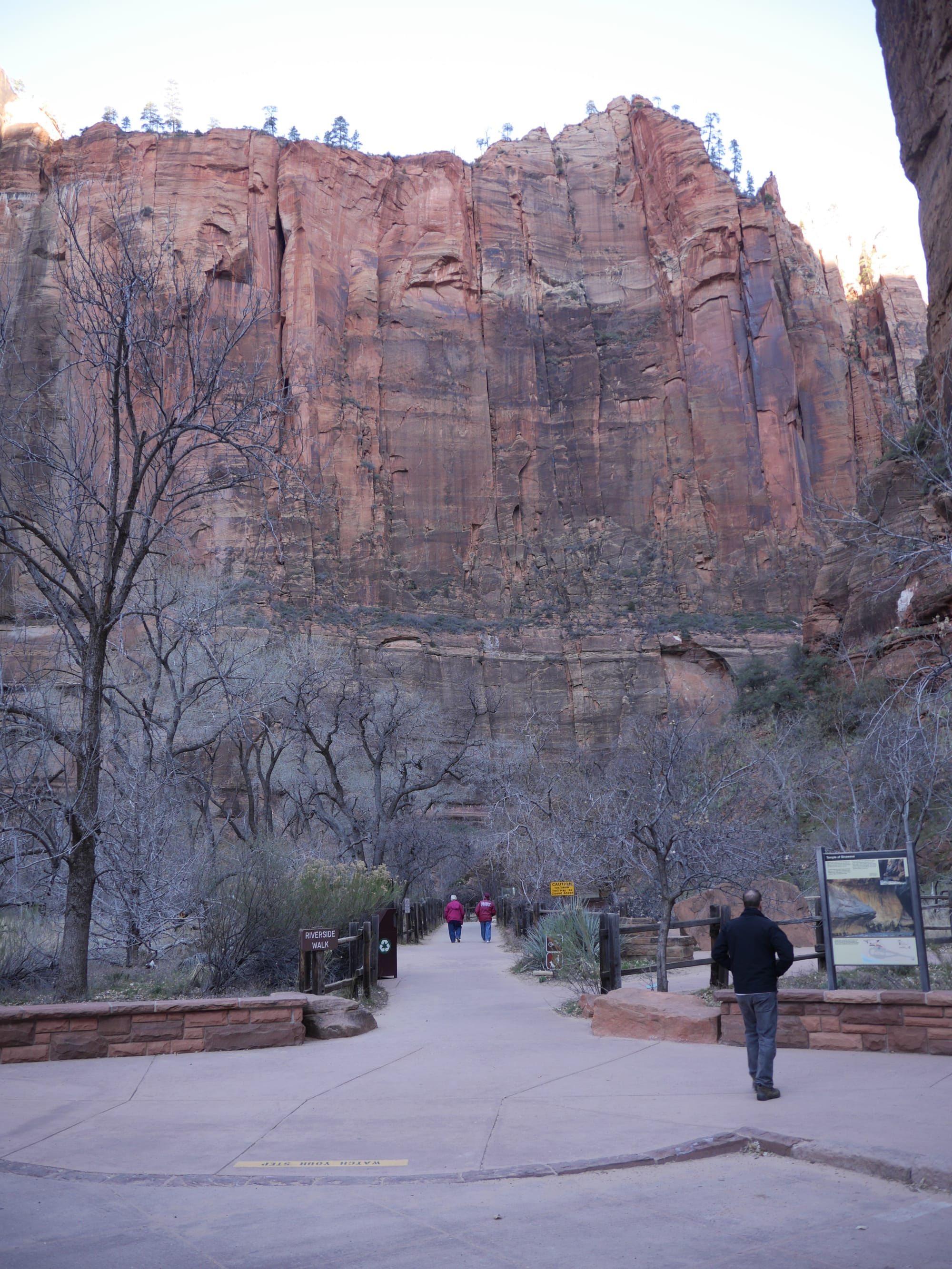 Photo by Author — The Riverside Trail, Zion National Park, Utah