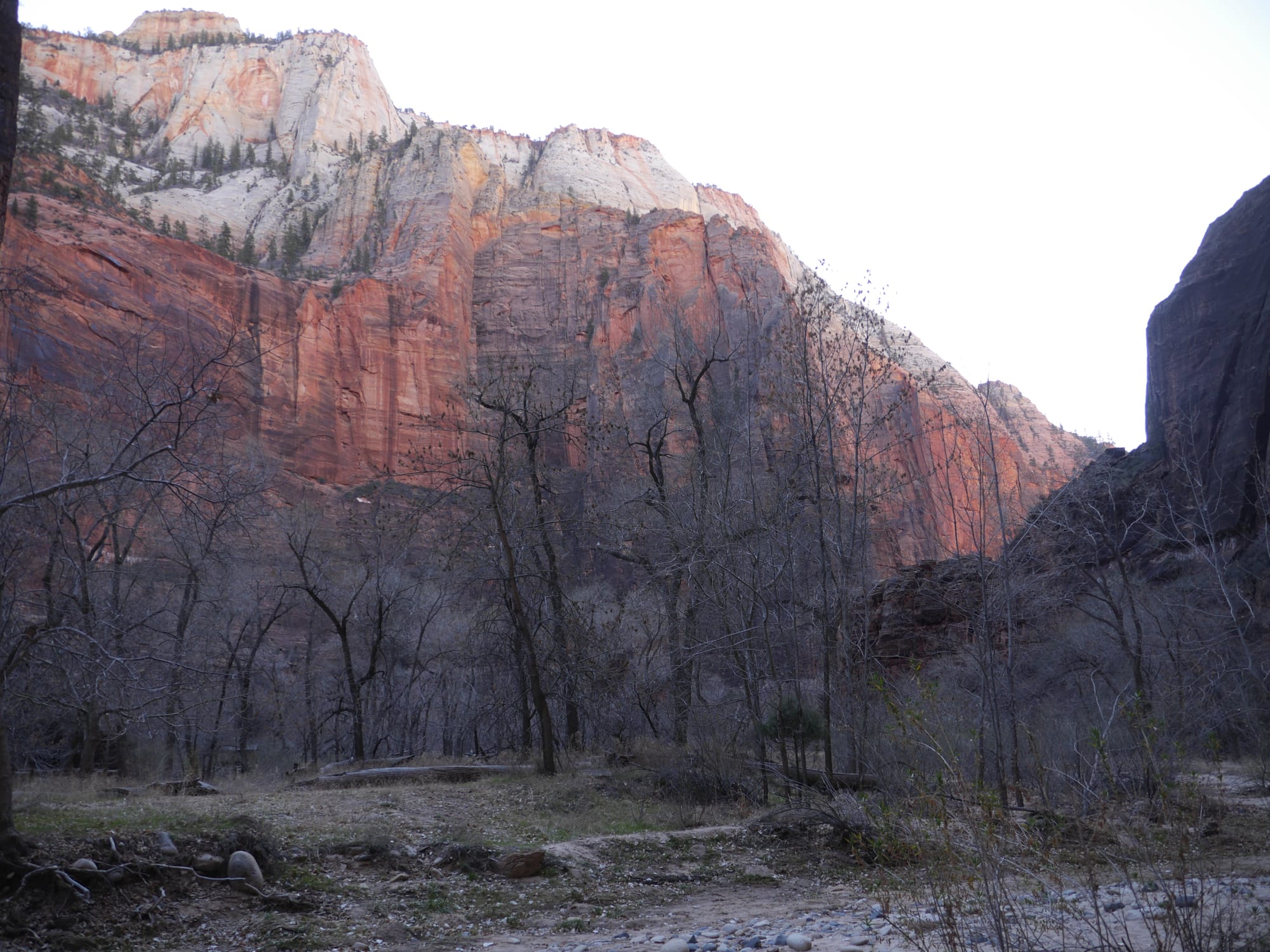 Photo by Author — The Riverside Trail, Zion National Park, Utah
