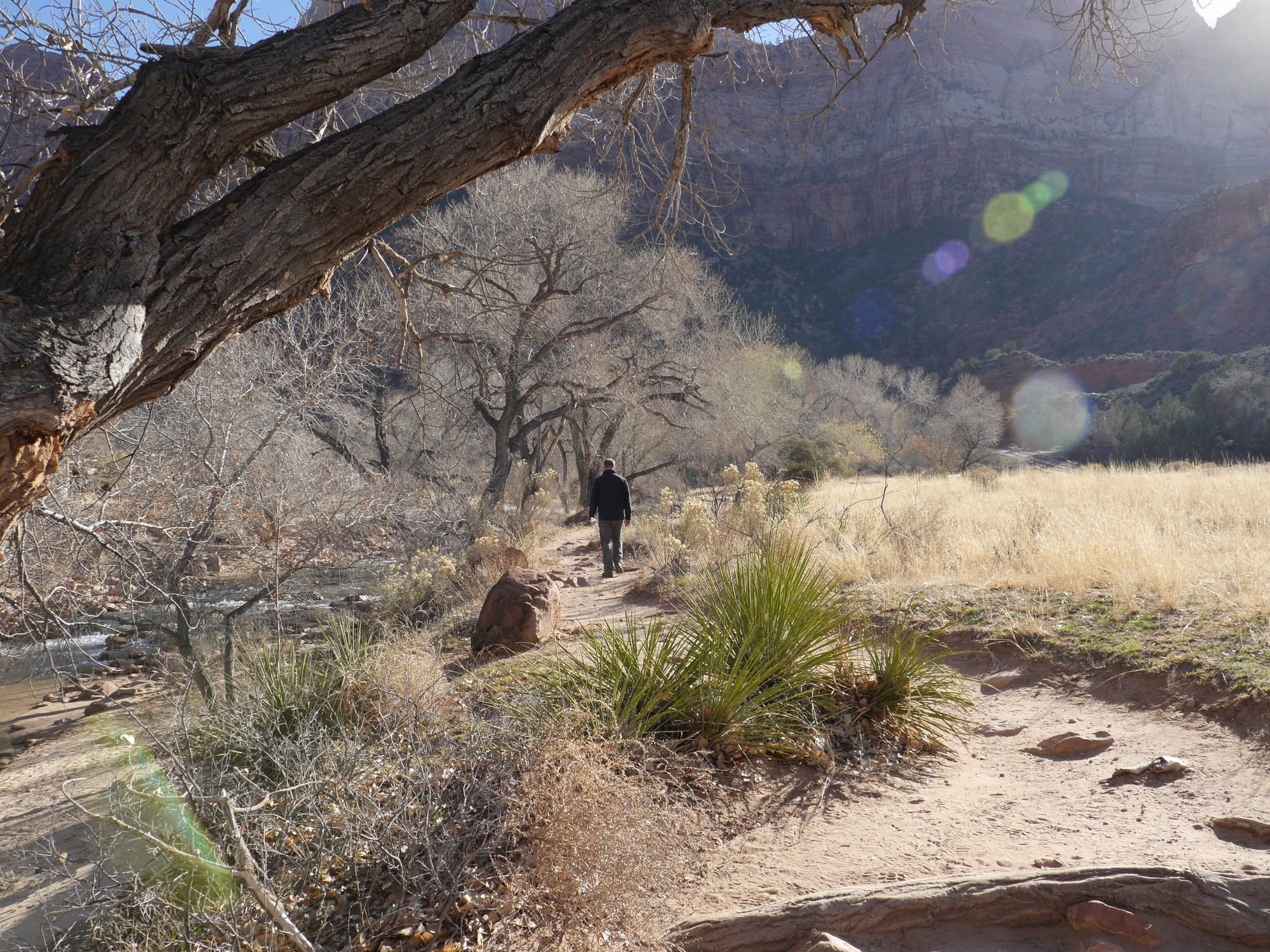 Photo by Author — early morning, heading out on the Watchman Trail