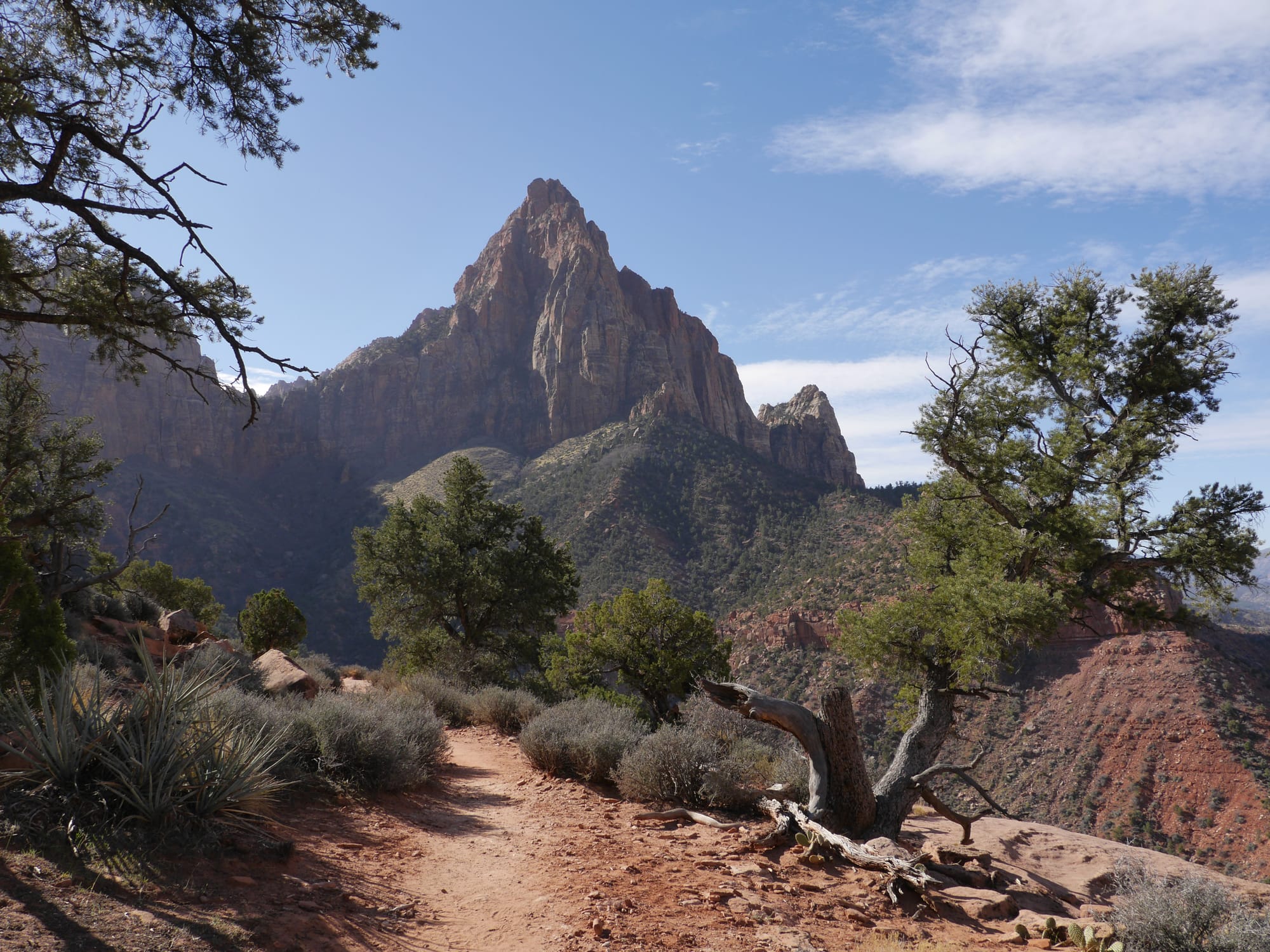 Photo by Author — the Watchman Trail