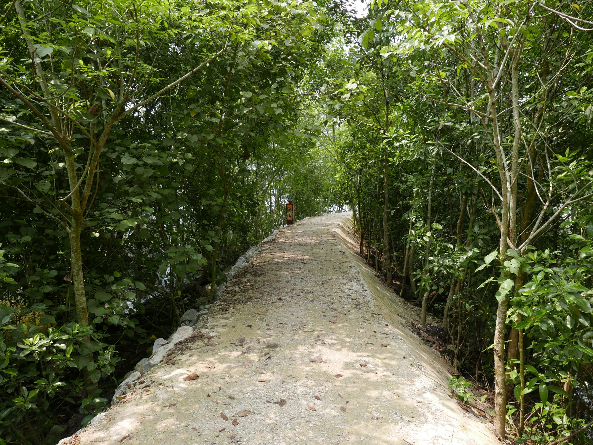 Photo by Author — elevated walkway in the coastal section of Sungei Buloh Wetland Reserve, Singapore