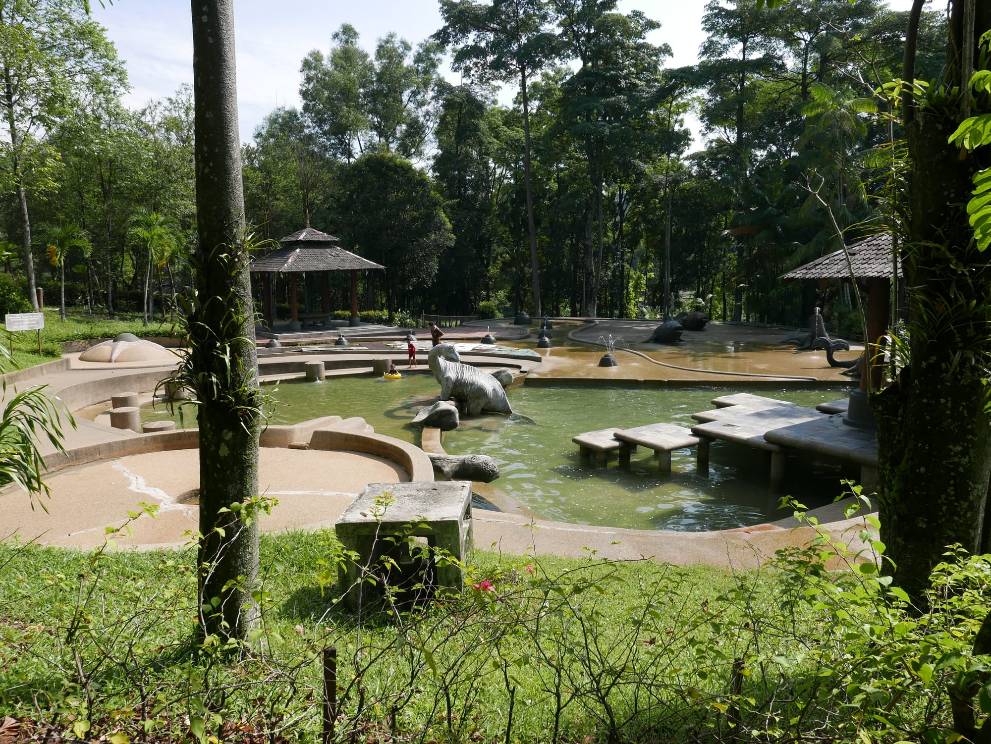Photo by Author — ponds at the Hutan Bandar, Johor Bahru, Johor, Malaysia