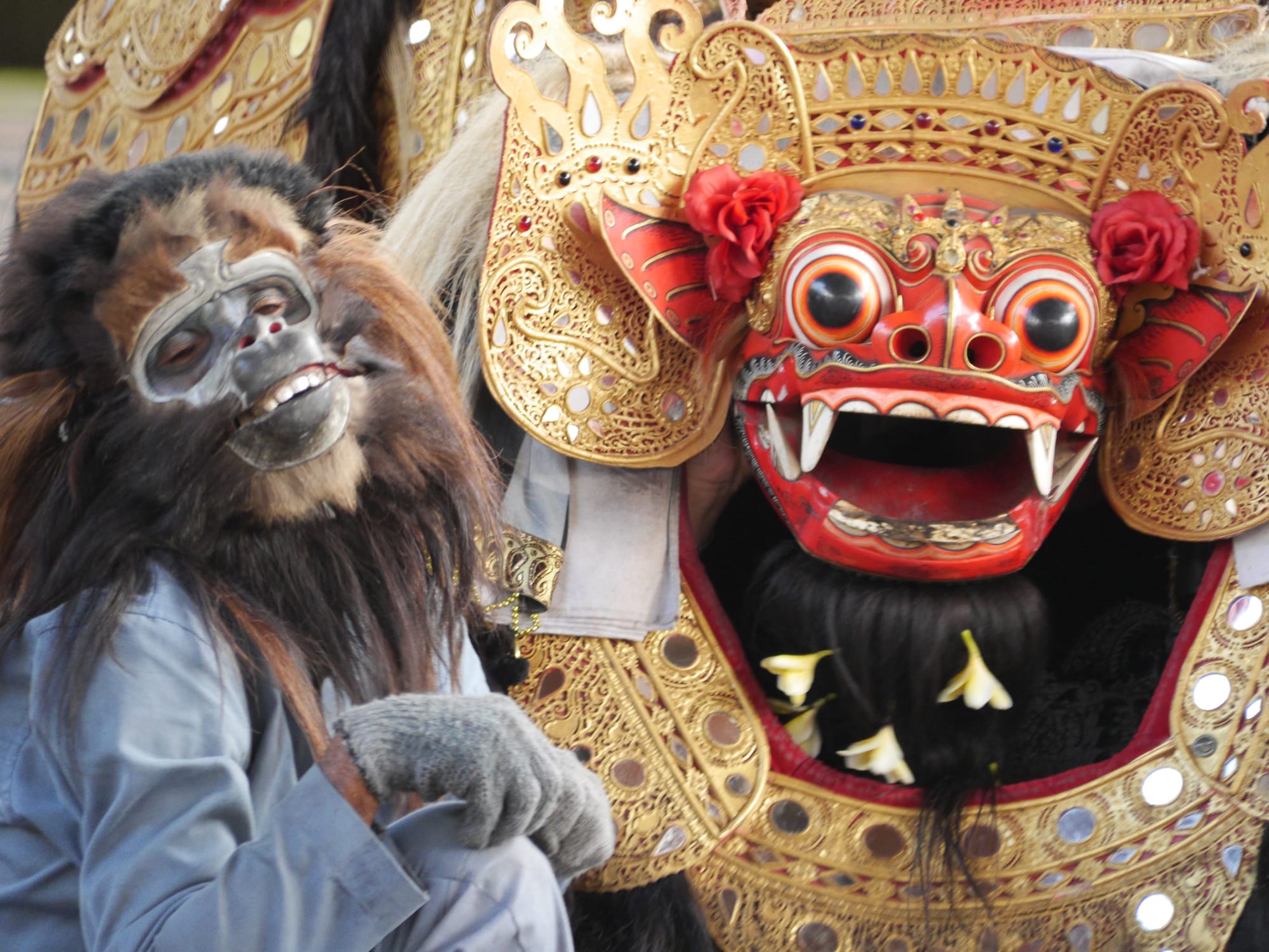 Photo by Author — the money and the tiger — Sahadewa Barong and Kris Dance, Bali, Indonesia