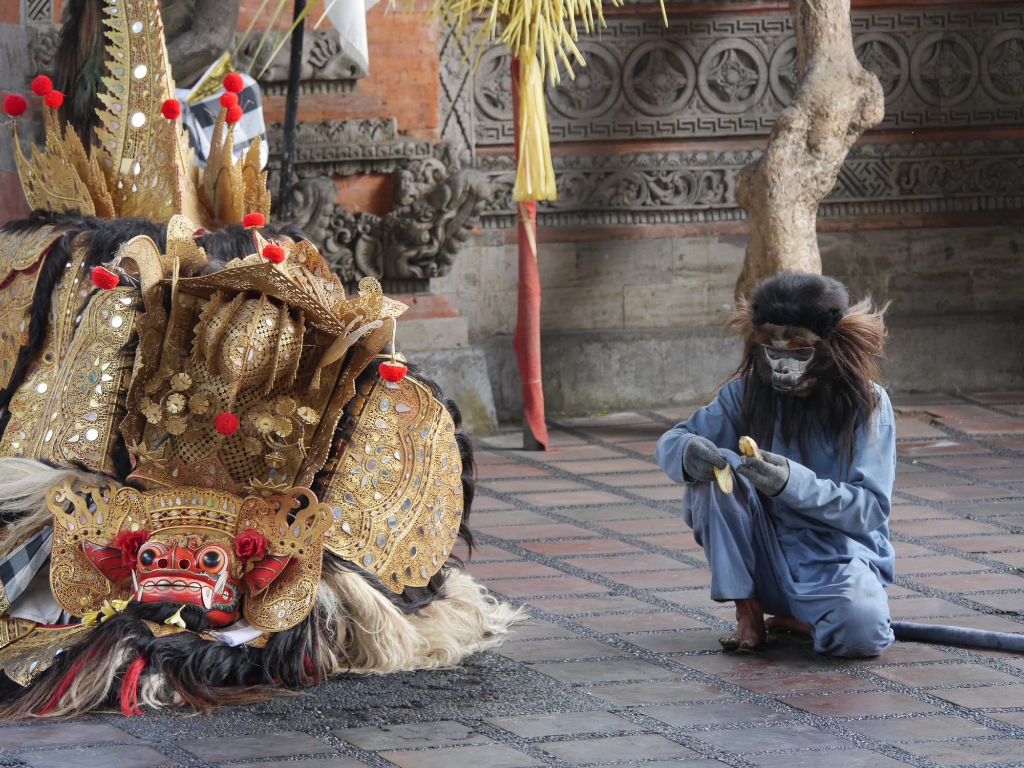 Photo by Author — the monkey — Sahadewa Barong and Kris Dance, Bali, Indonesia