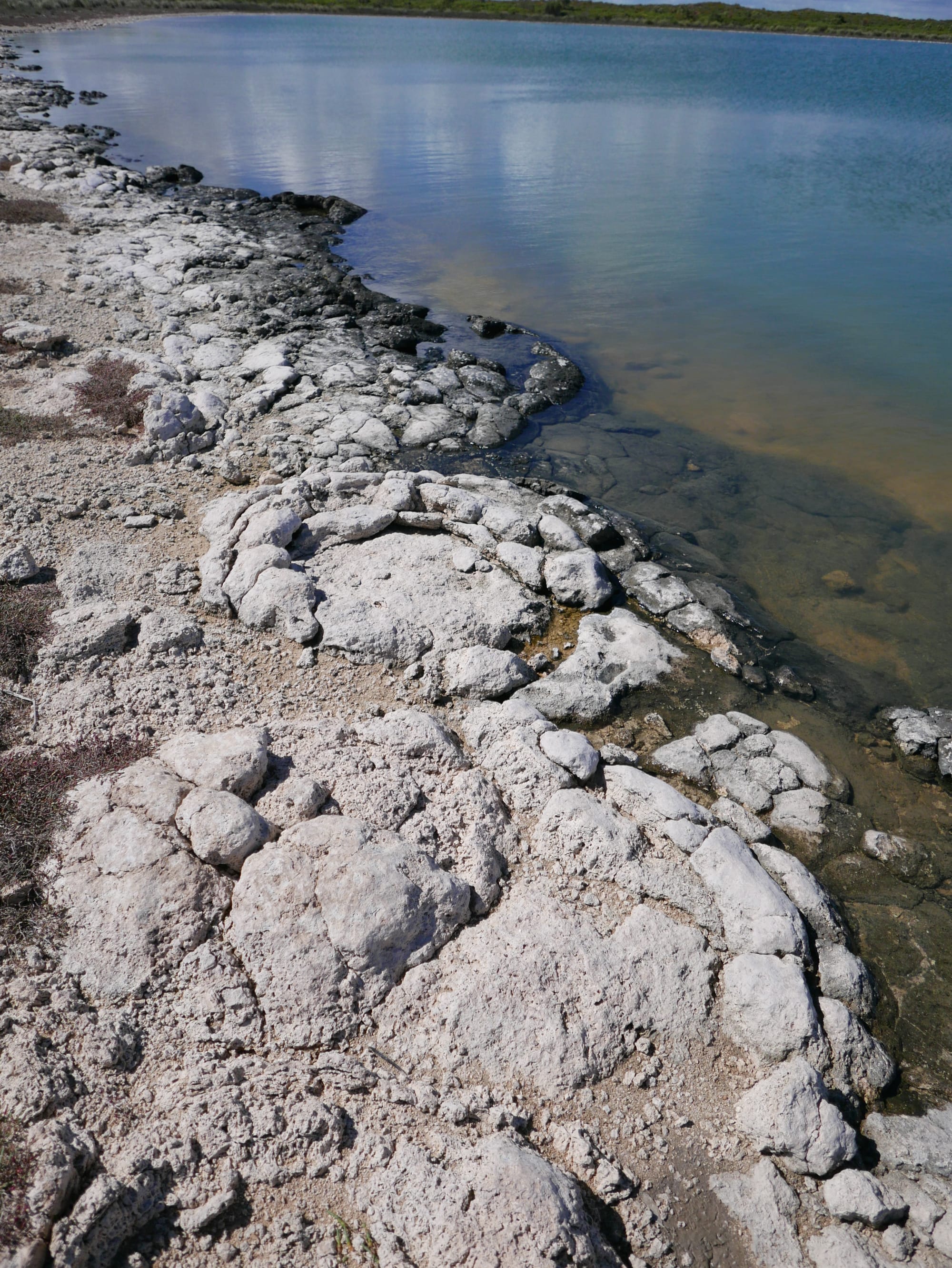 Photo by Author — shoreline of Lake Thetis, Cervantes, WA 6511, Australia