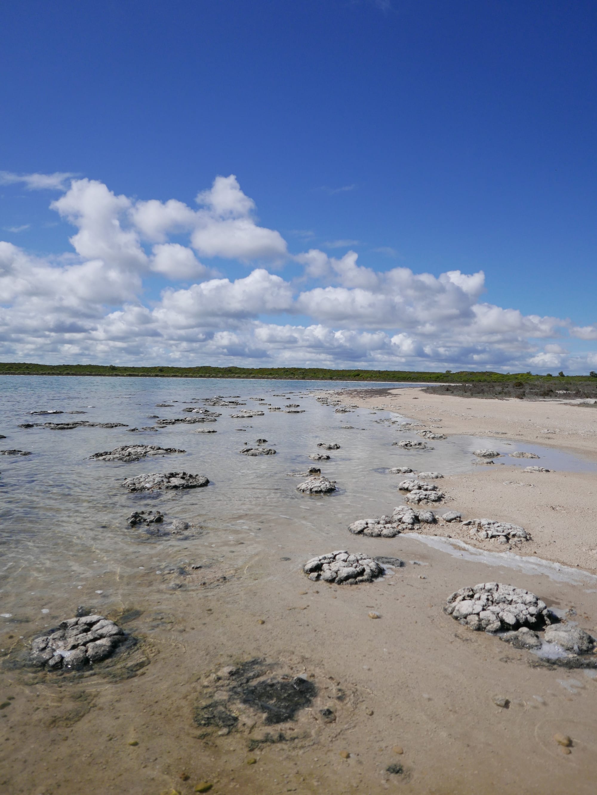 Photo by Author — Stromatolites at Lake Thetis, Cervantes, WA 6511, Australia