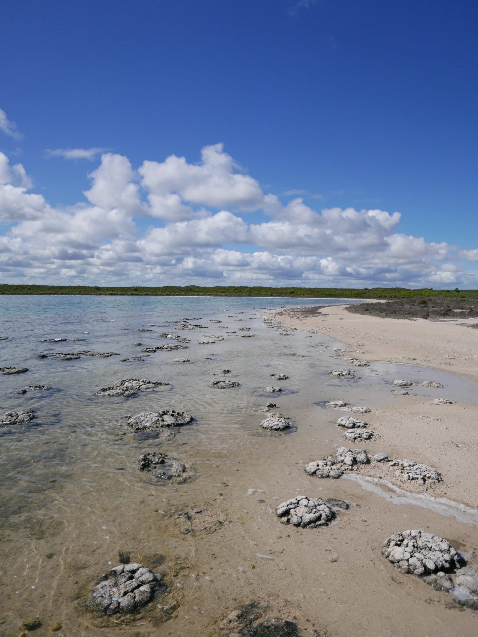 Photo by Author — Stromatolites at Lake Thetis, Cervantes, WA 6511, Australia