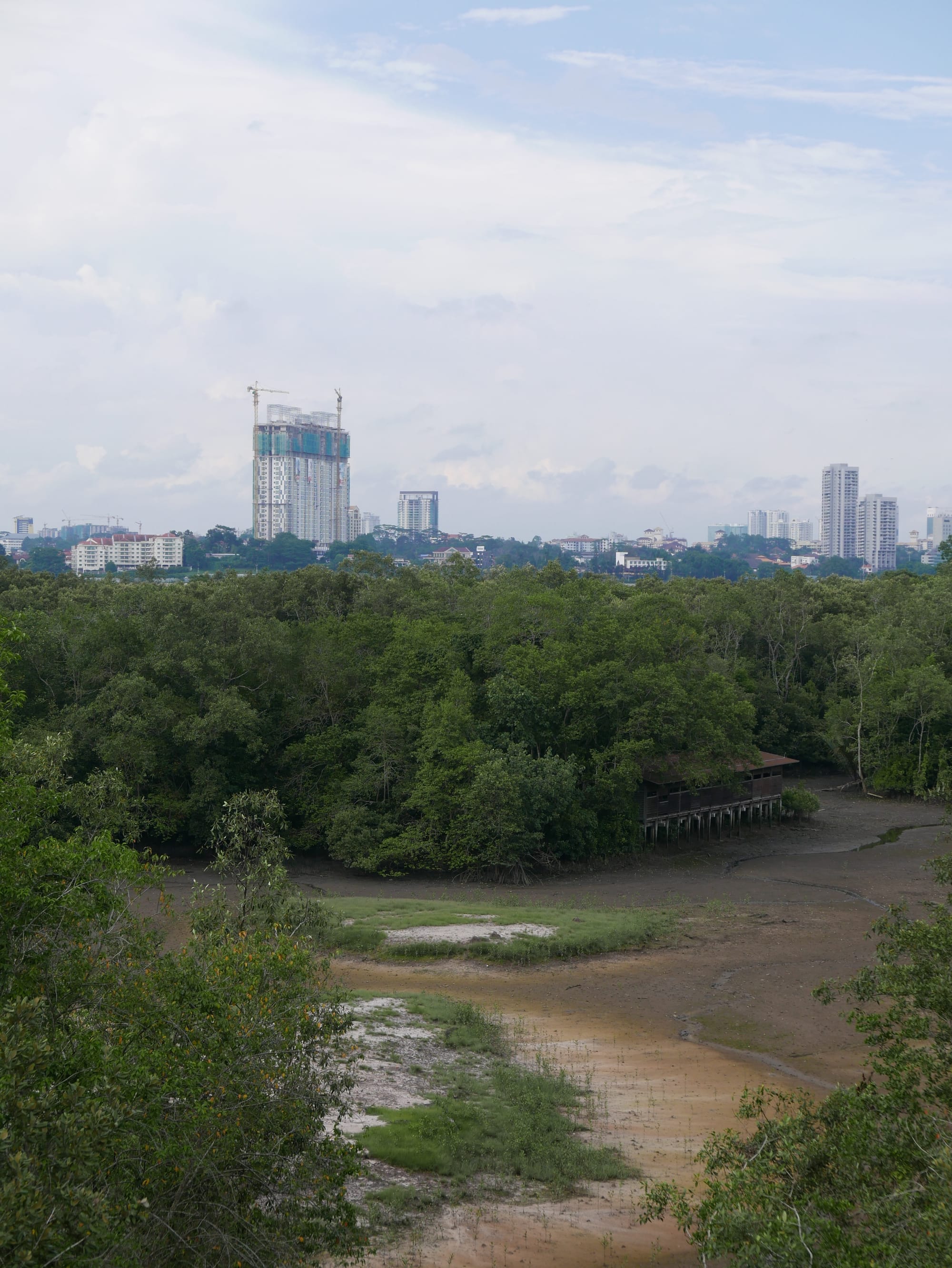Photo by Author — Johor Bahru, Malaysia from Sungei Buloh Wetland Reserve, Singapore