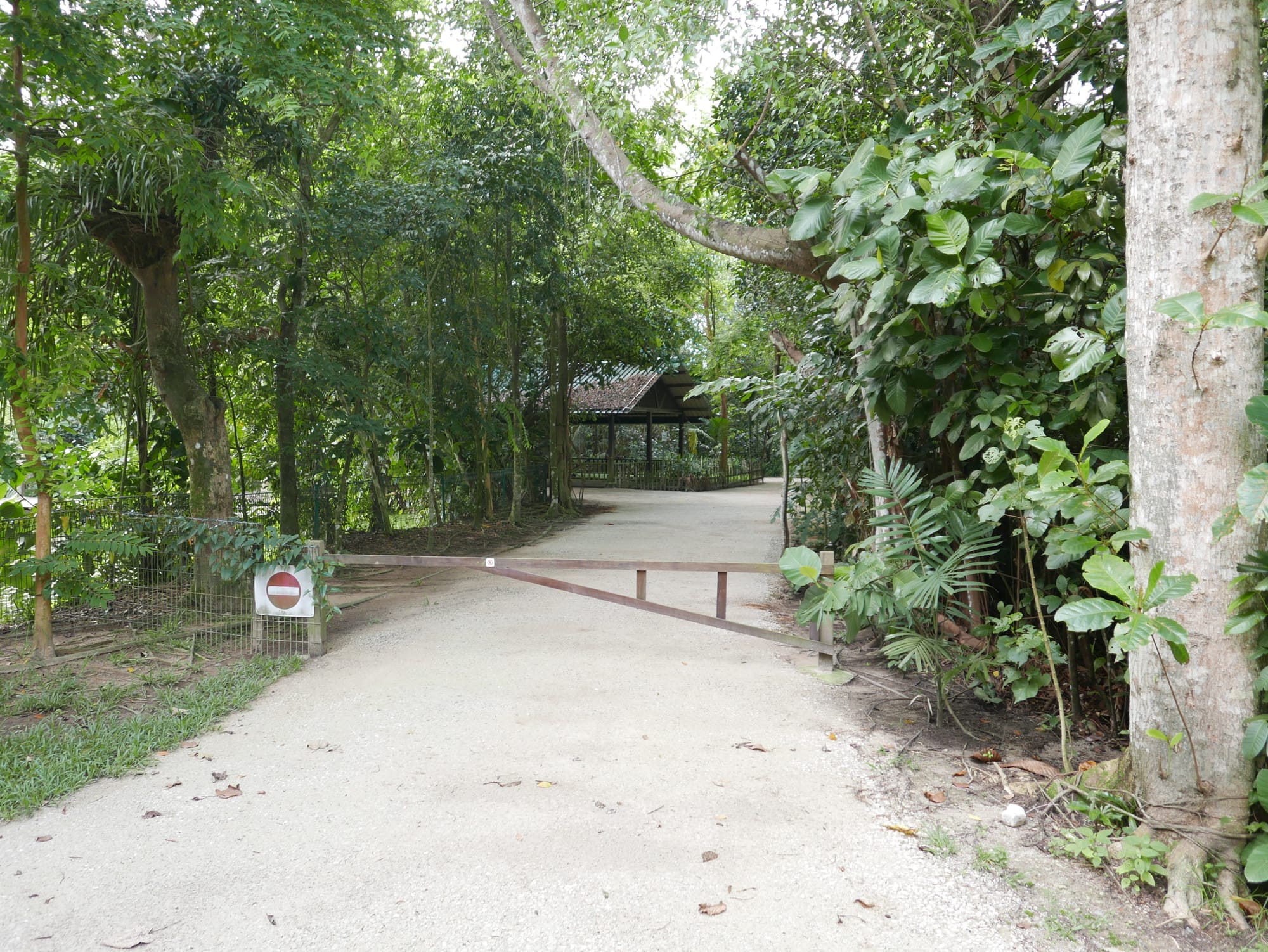 Photo by Author — closed area — Sungei Buloh Wetland Reserve, Singapore