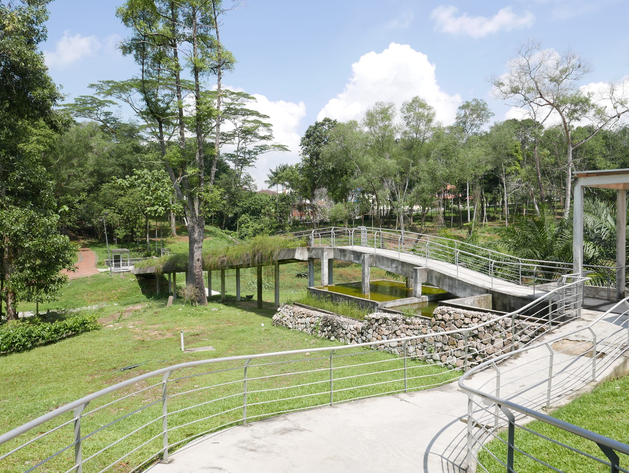 Photo by Author — view from the Ecology Section — Hutan Bandar, Johor Bahru, Johor, Malaysia