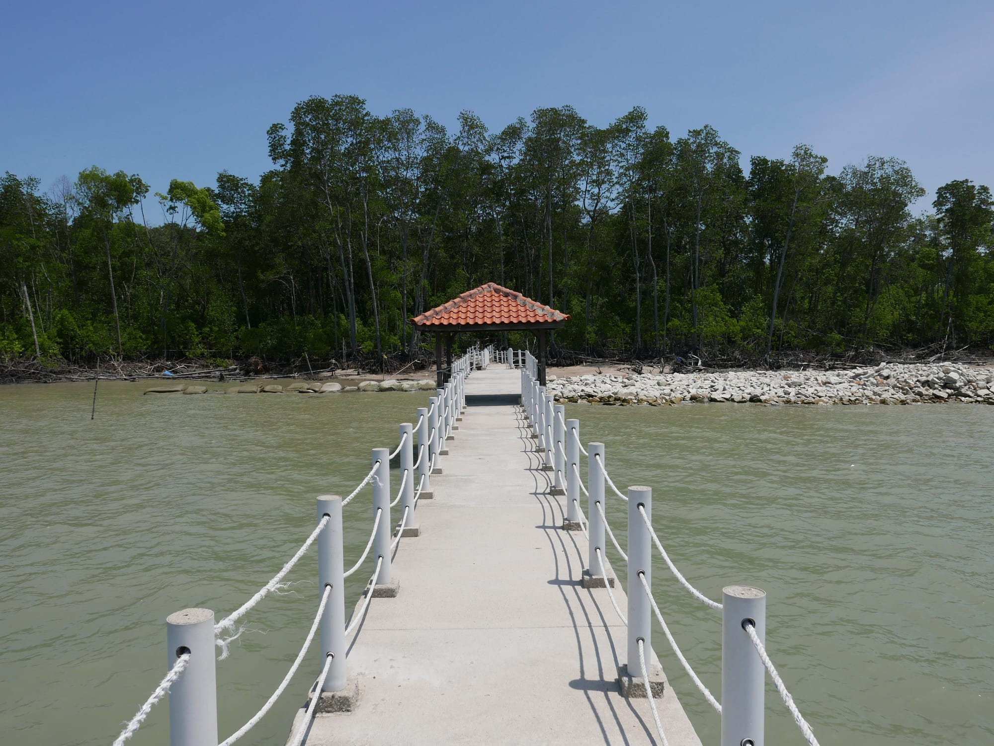 Photo by Author — looking back down the fishing pier — Tanjung Piai National Park