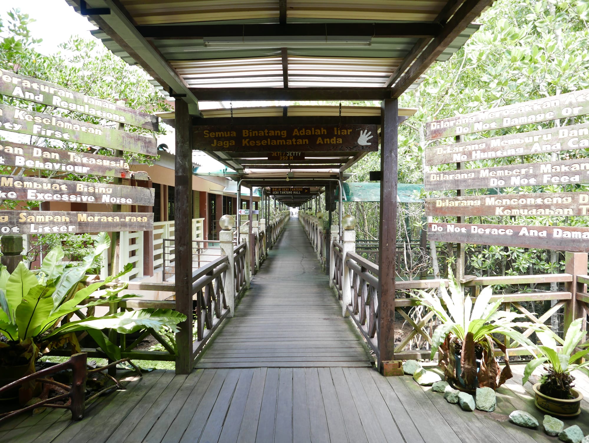 Photo by Author — main walkway — Tanjung Piai National Park