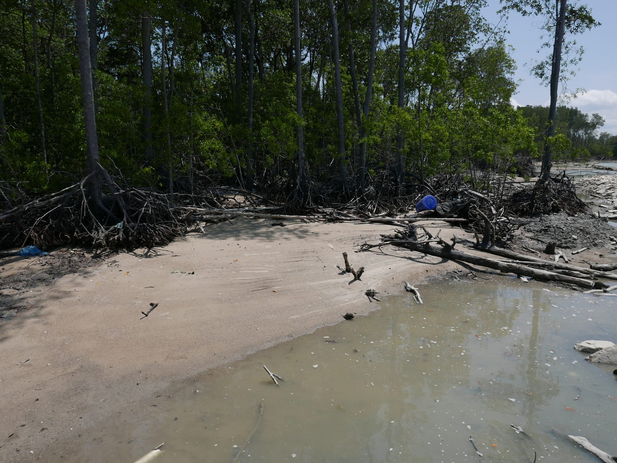 Photo by Author — sand from ruptured coastal protection sandbags — Tanjung Piai National Park