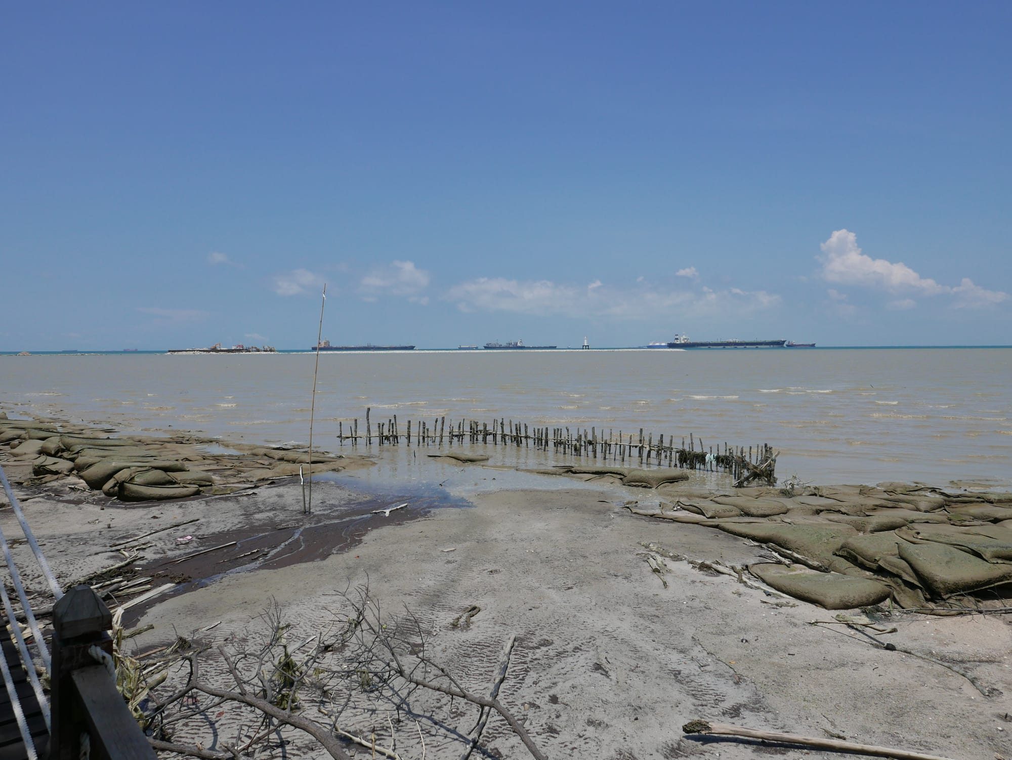 Photo by Author — coastal protection — Tanjung Piai National Park
