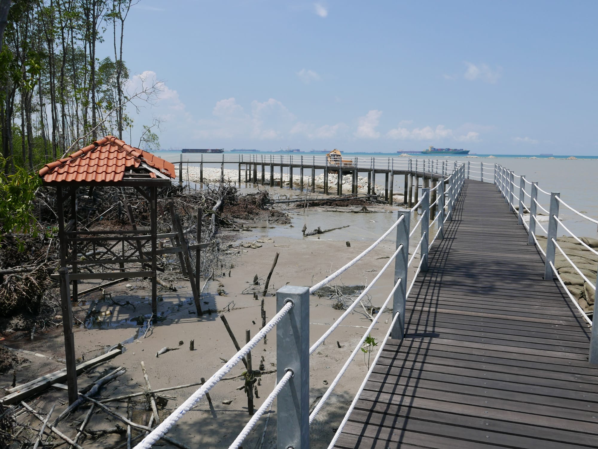 Photo by Author — coastal erosion and collapsed walkway — Tanjung Piai National Park