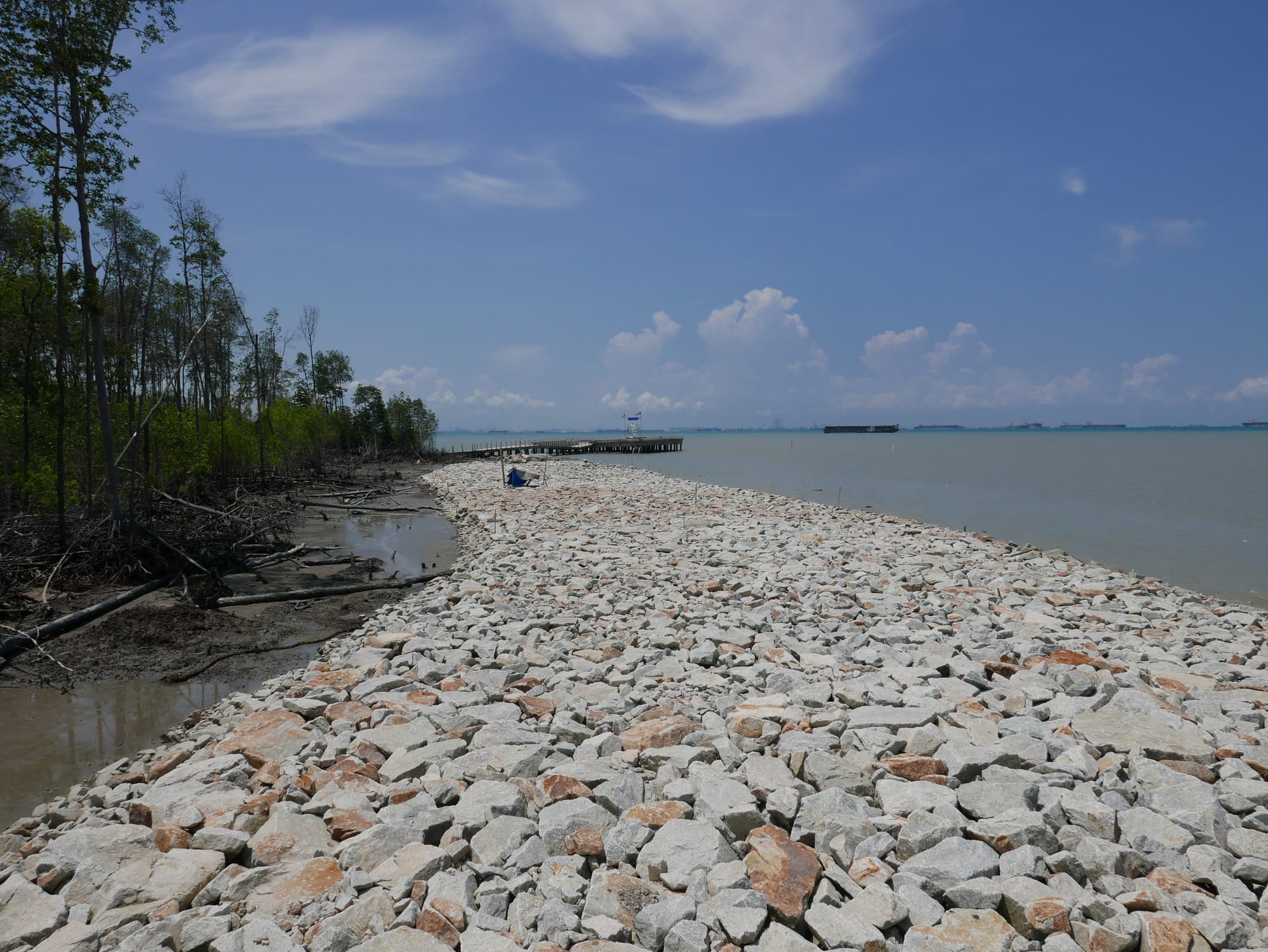 Photo by Author — sea defences — Tanjung Piai National Park
