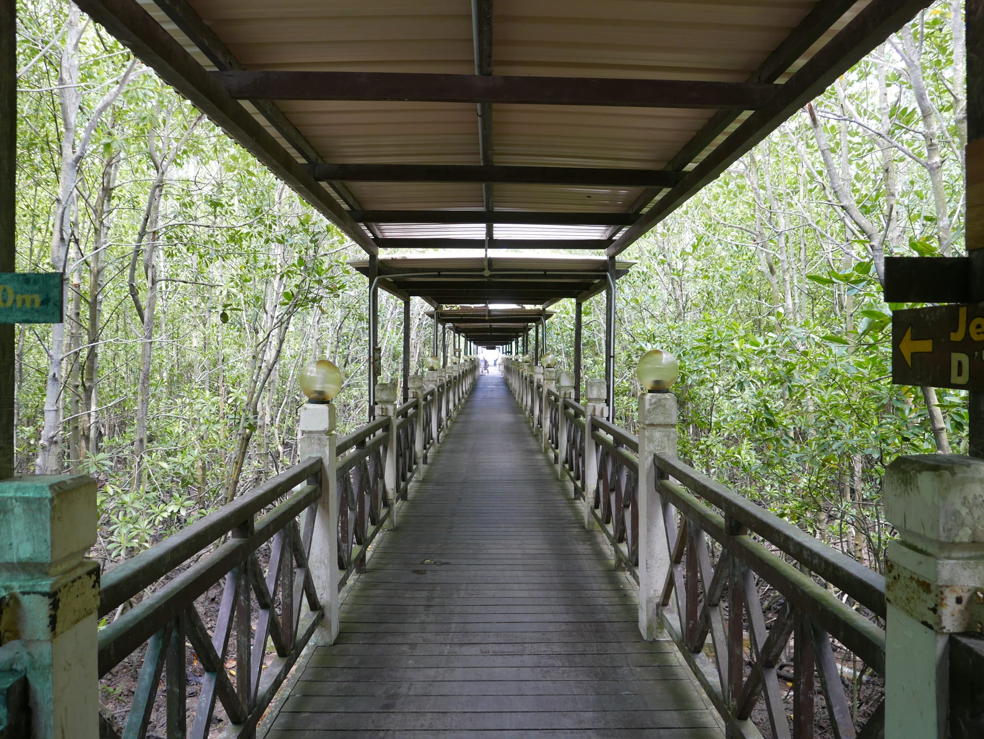 Photo by Author — main walkway — Tanjung Piai National Park