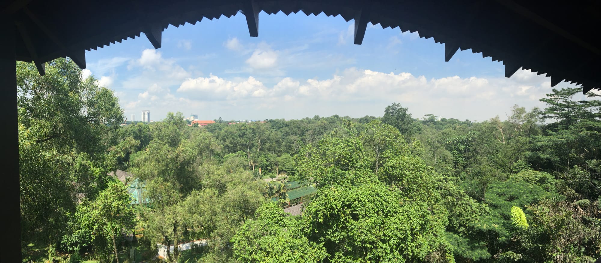 Photo by Author — the view from the tower — Hutan Bandar, Johor Bahru, Johor, Malaysia