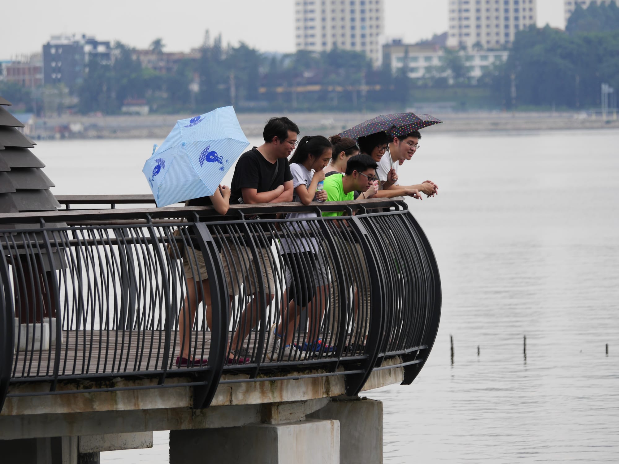 Photo by Author — watching people watching the sea — Sungei Buloh Wetland Reserve, Singapore